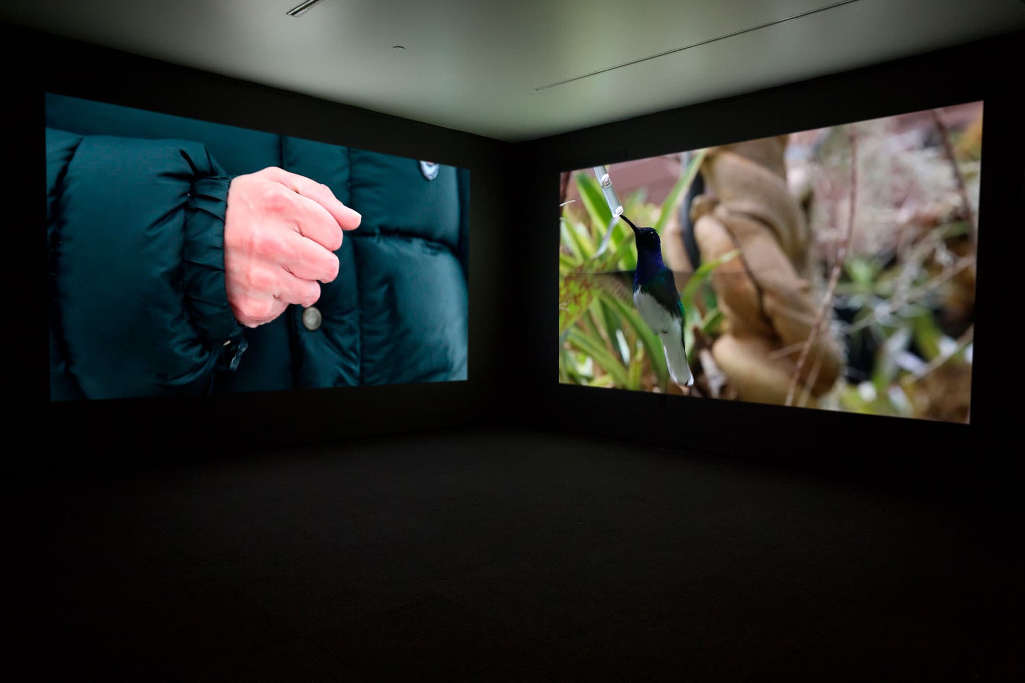 The-Persistance-of-Hope-Installation-view