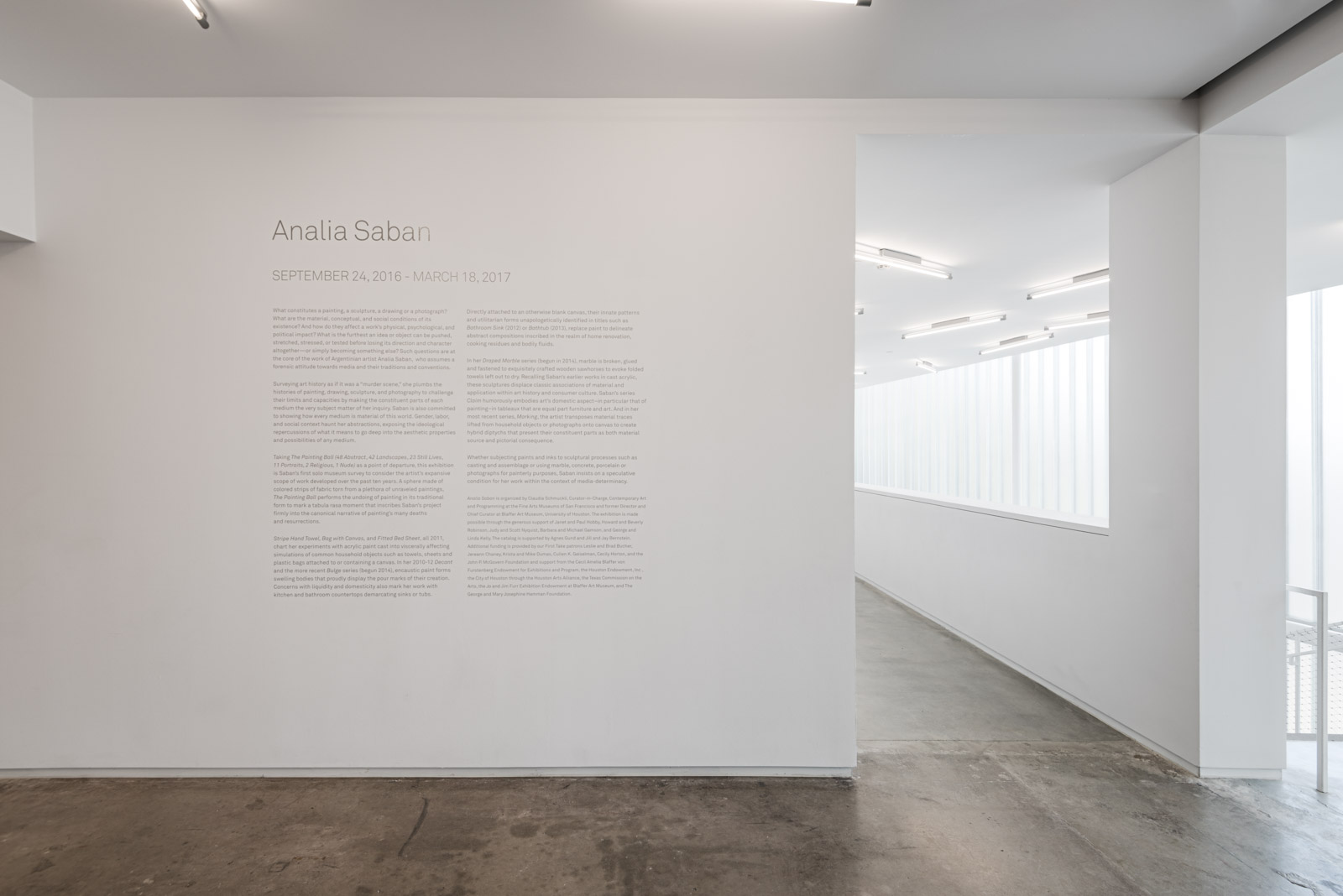 Analia-Saban_001.jpg