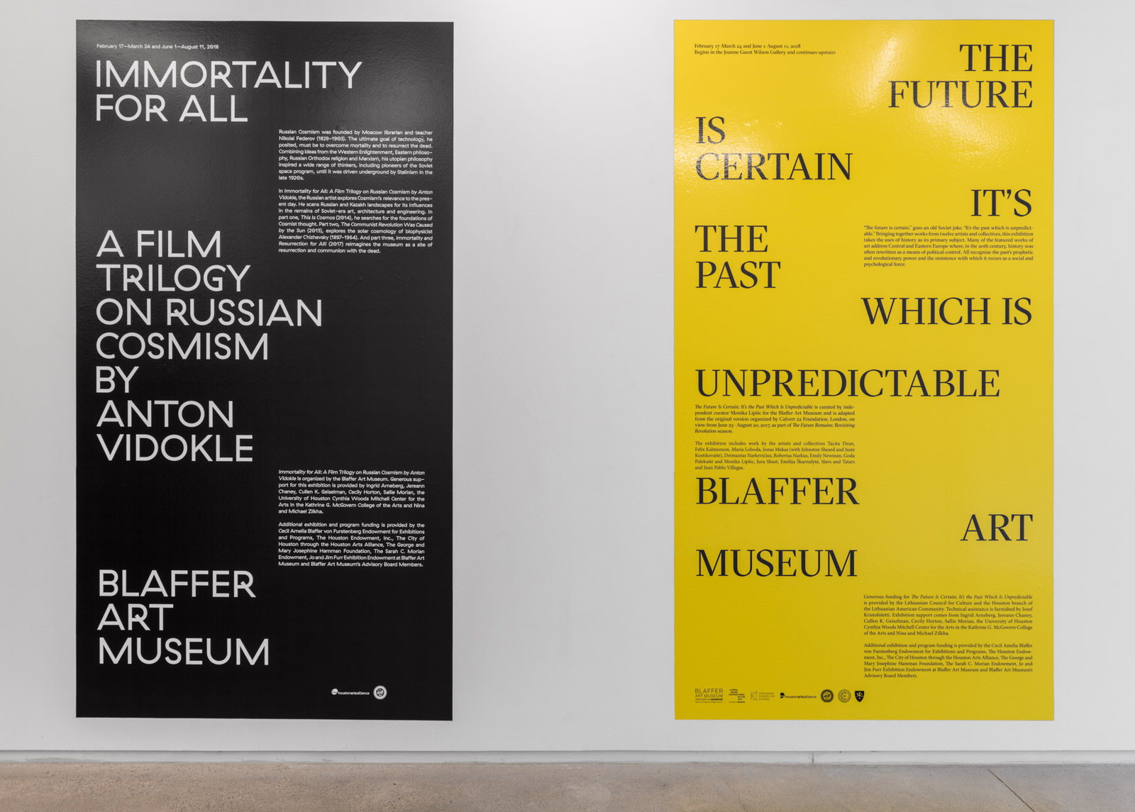 Blaffer_20180219_001_v1.jpg
