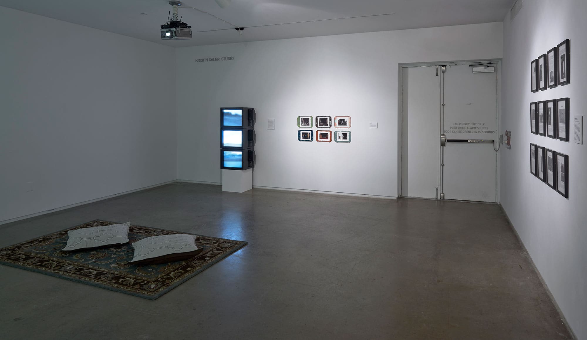 MariamGhani-Blaffer-6.jpg