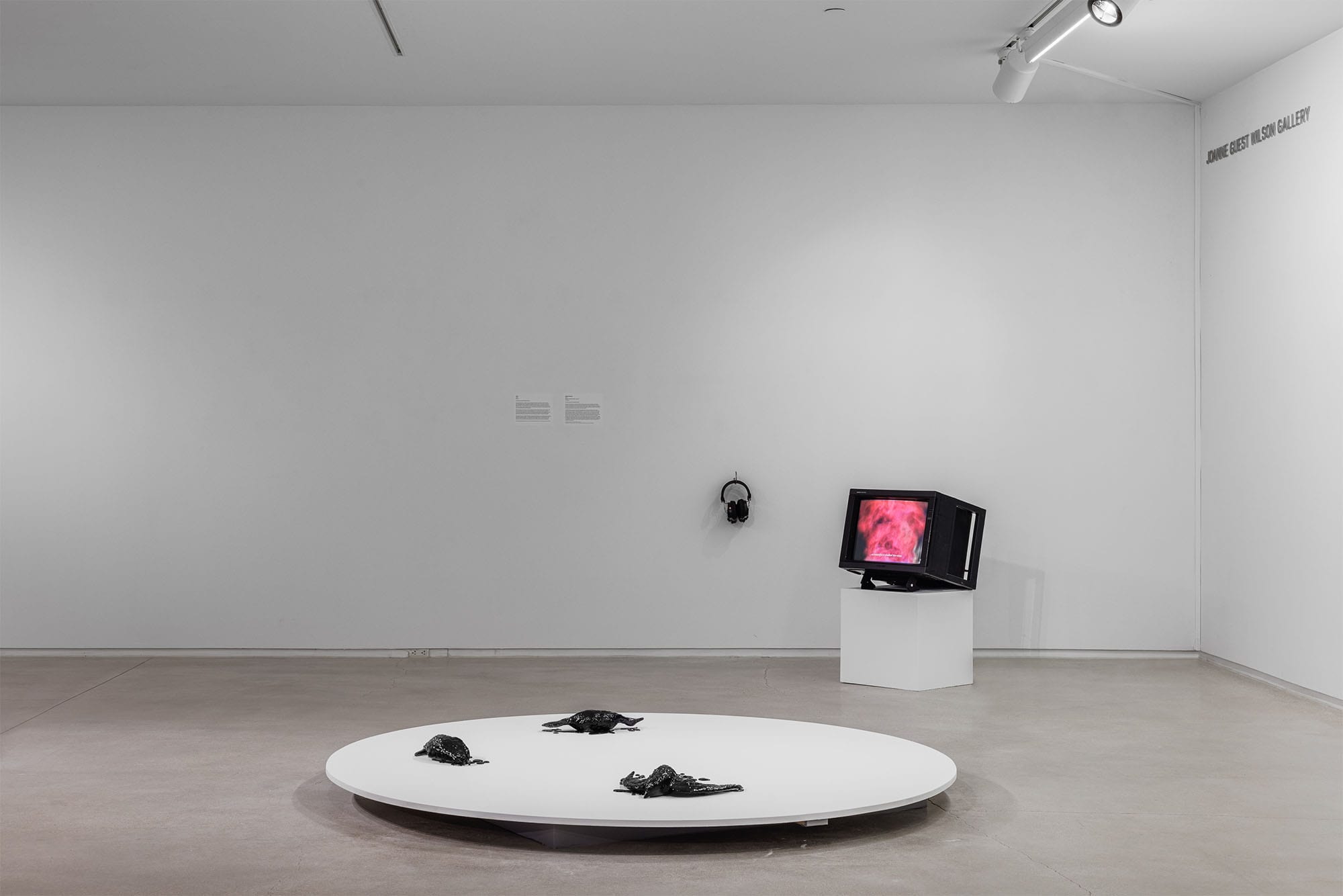 Monira Al Qadiri, Refined Vision,Blaffer Art Museum