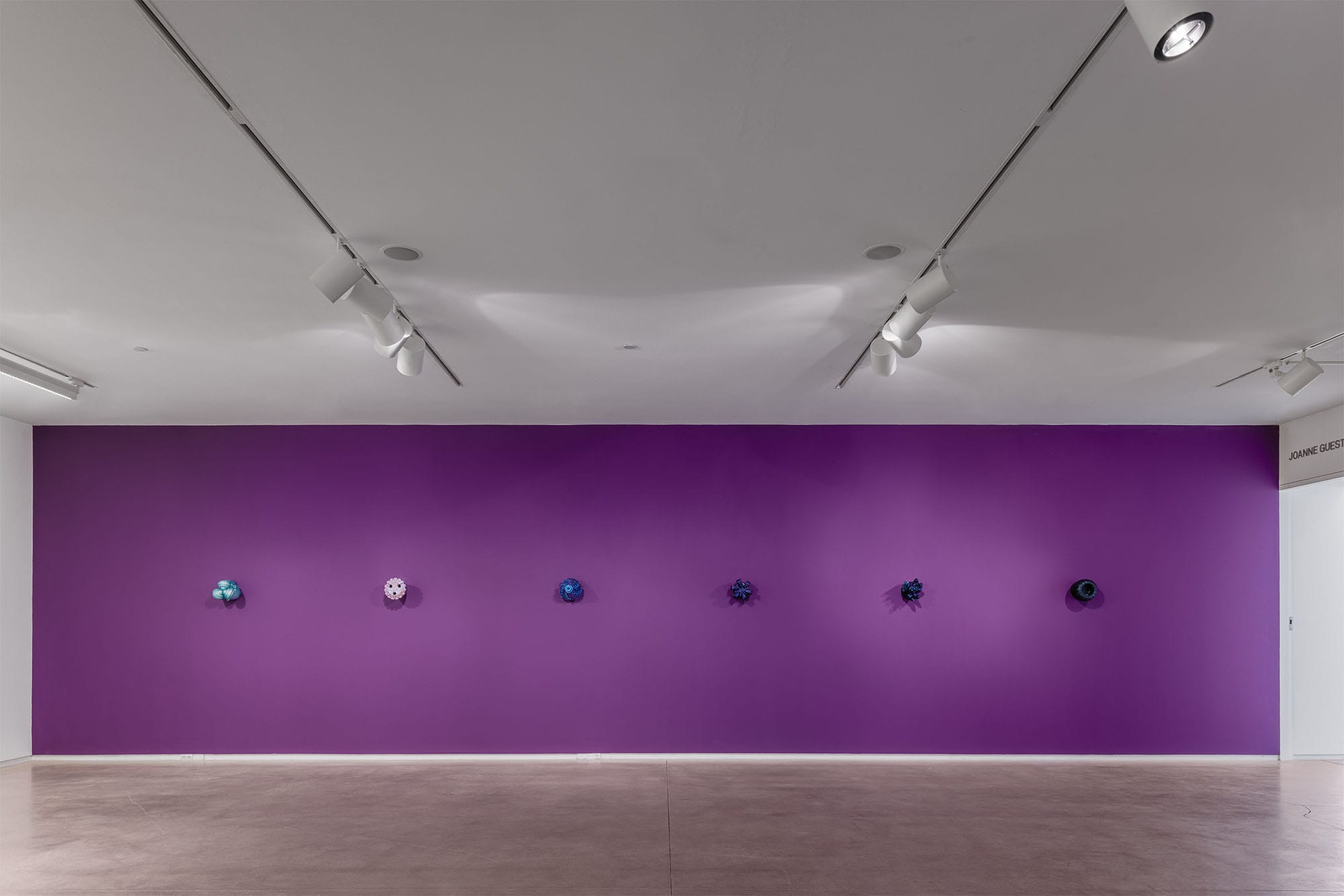 Monira Al Qadiri, Refined Vision,Blaffer Art Museum