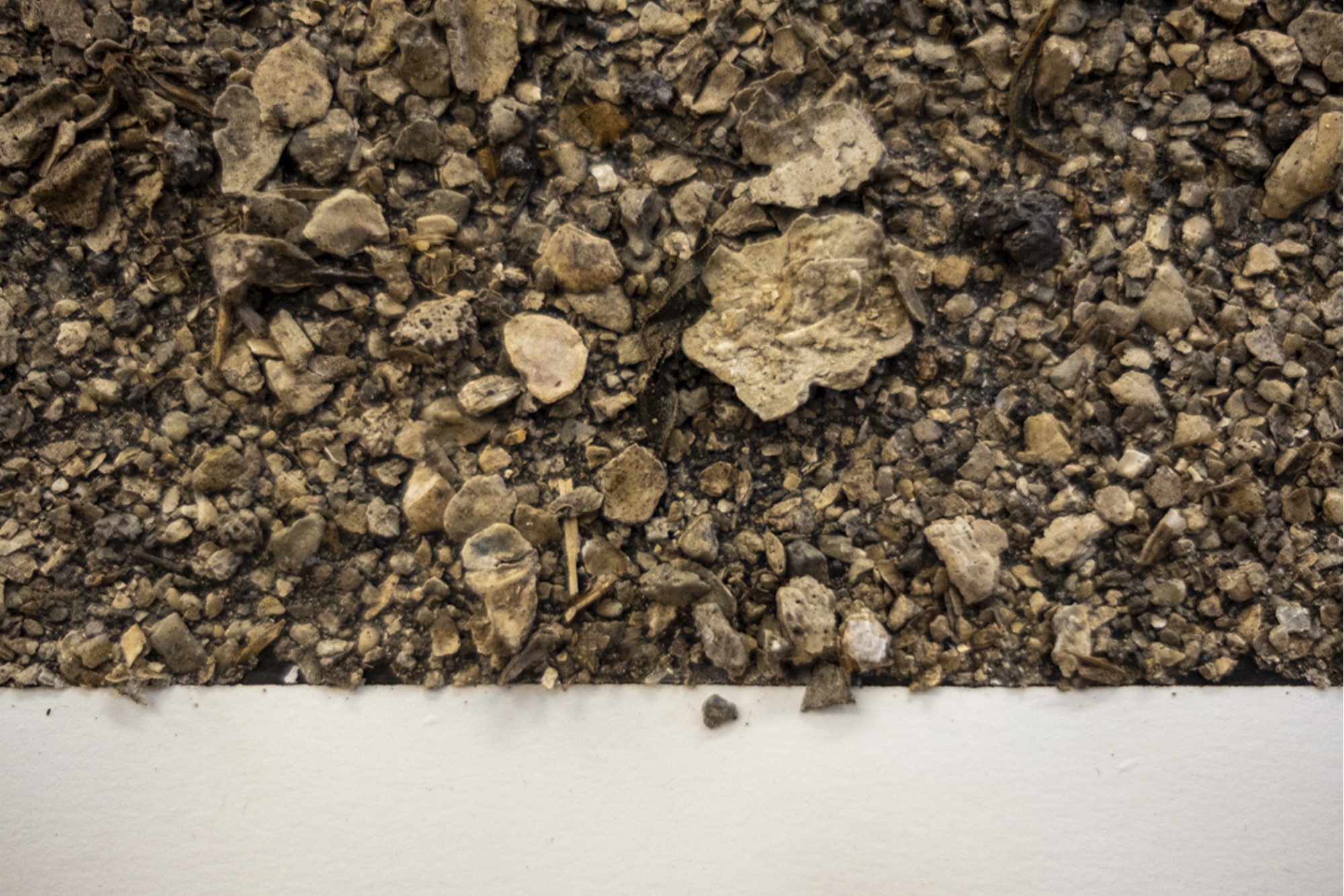 Alan Sonfist: Earth of Houston, Blaffer Art Museum, Jen Bootwala