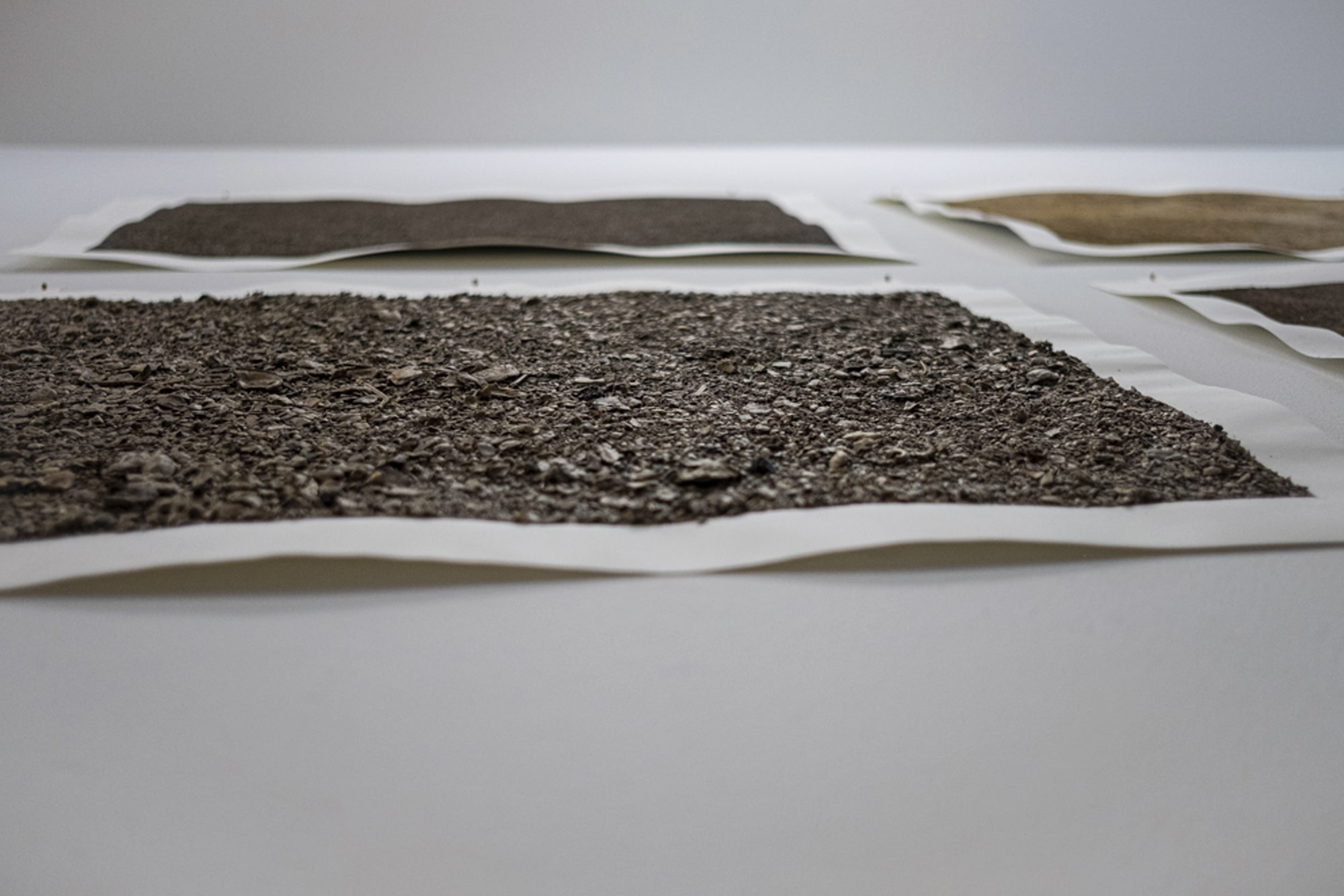 Alan Sonfist: Earth of Houston, Blaffer Art Museum, Jen Bootwala
