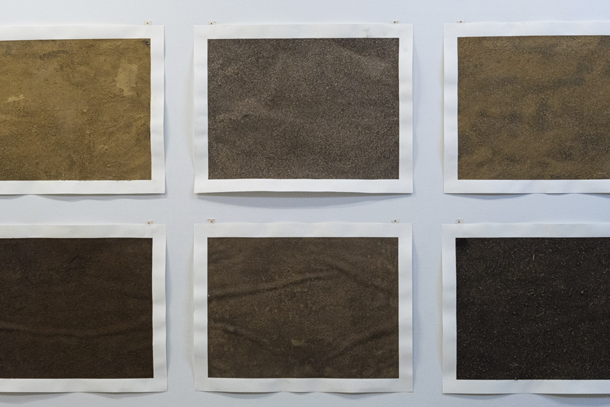 Alan Sonfist: Earth of Houston, Blaffer Art Museum, Jen Bootwala