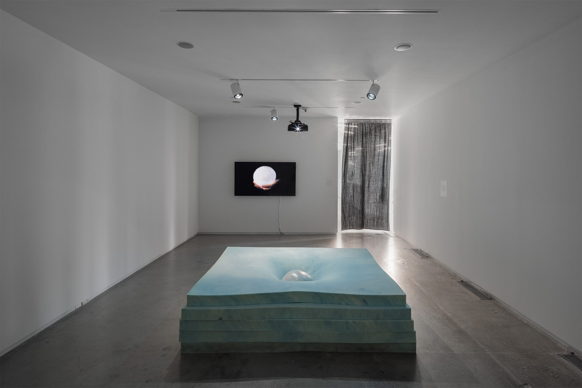 Cared For, an Exhibition by Cared For: Shana Hoehn / VLM (Virginia L. Montgomery) / Sarah Sudhoff, Blaffer Art Museum