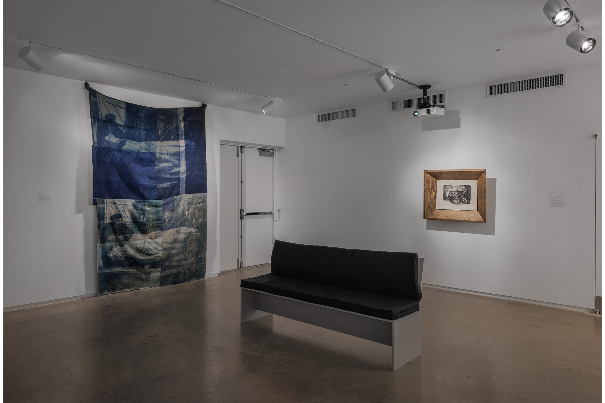 Cared For, an Exhibition by Cared For: Shana Hoehn / VLM (Virginia L. Montgomery) / Sarah Sudhoff, Blaffer Art Museum