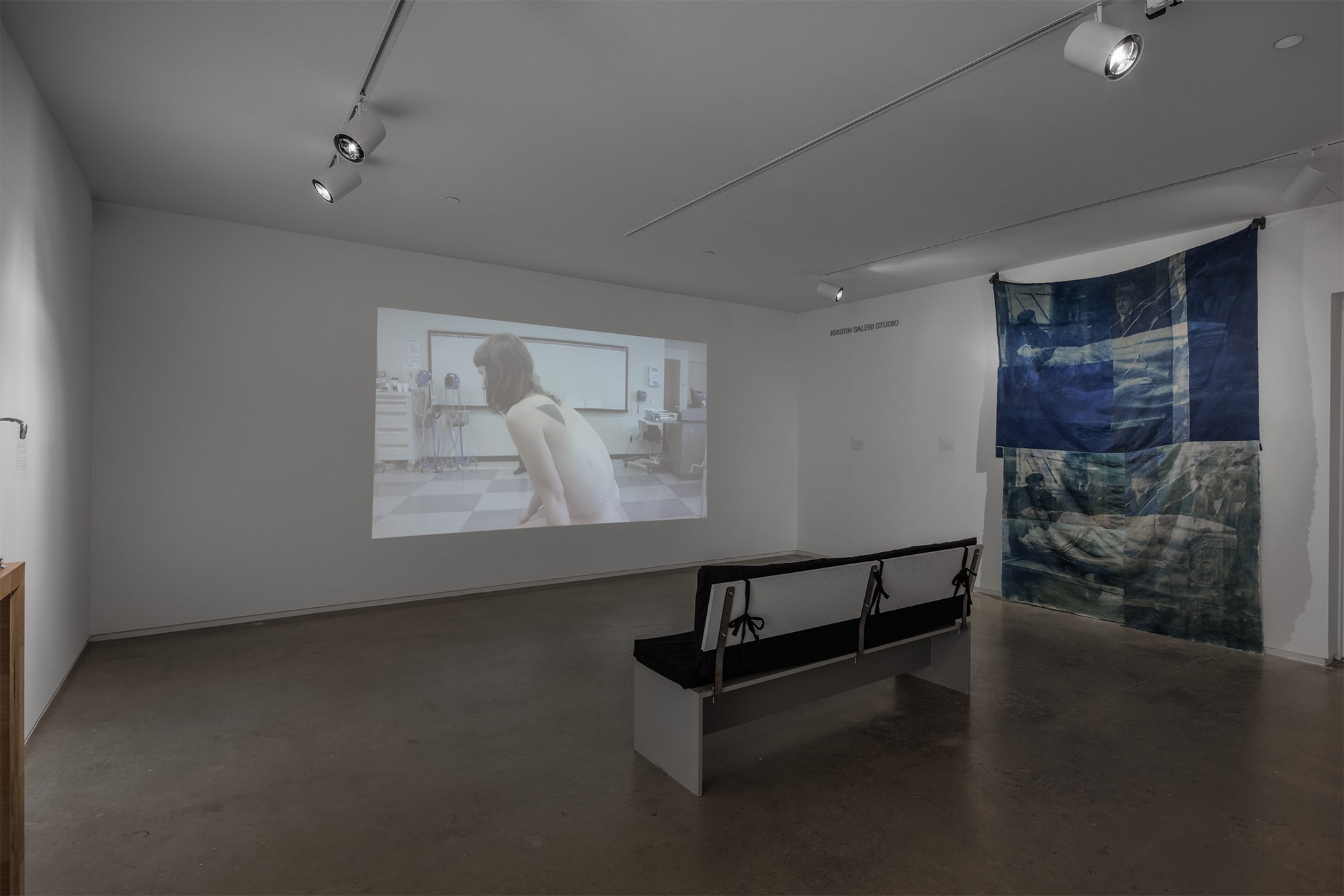 Cared For, an Exhibition by Cared For: Shana Hoehn / VLM (Virginia L. Montgomery) / Sarah Sudhoff, Blaffer Art Museum