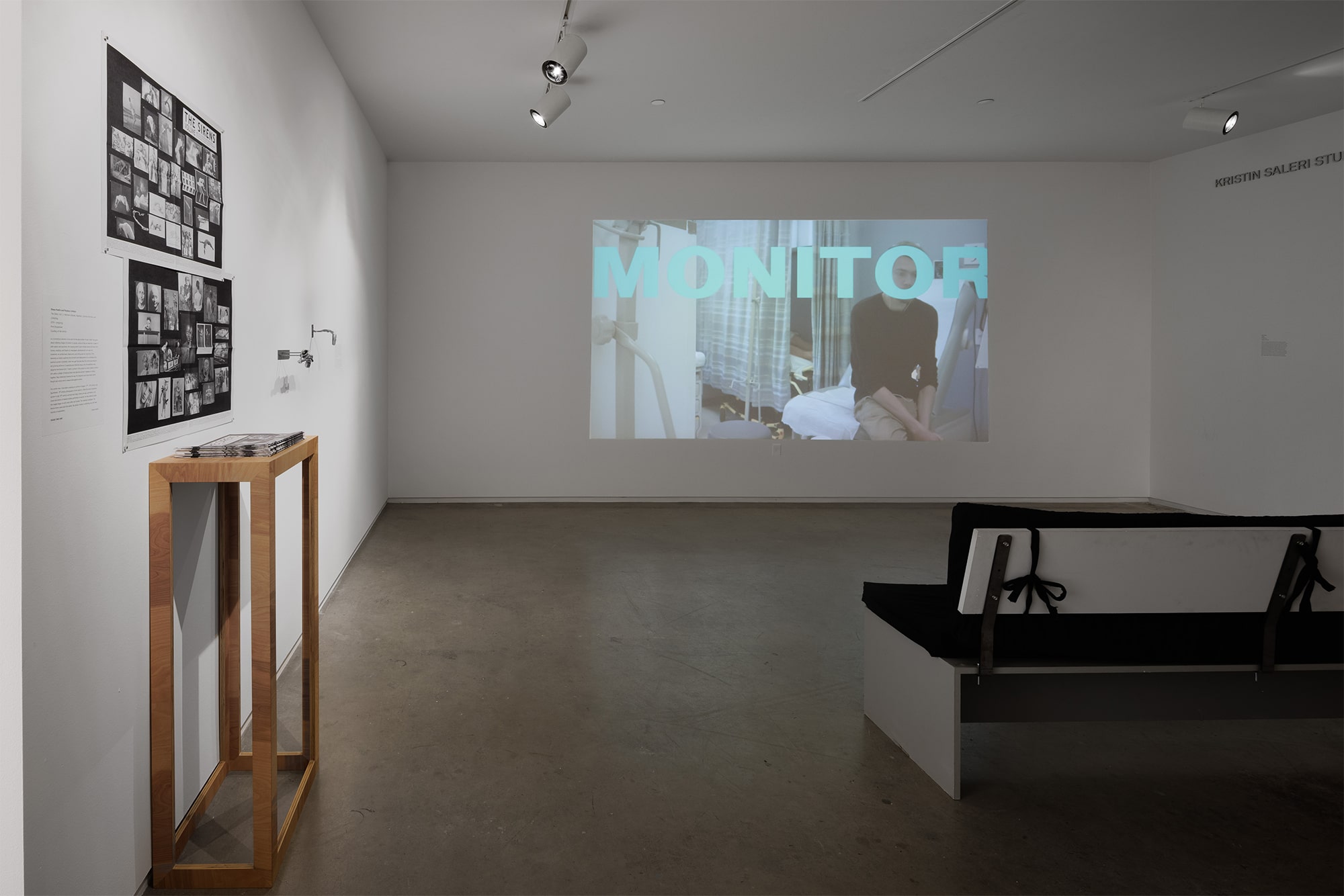 Cared For, an Exhibition by Cared For: Shana Hoehn / VLM (Virginia L. Montgomery) / Sarah Sudhoff, Blaffer Art Museum