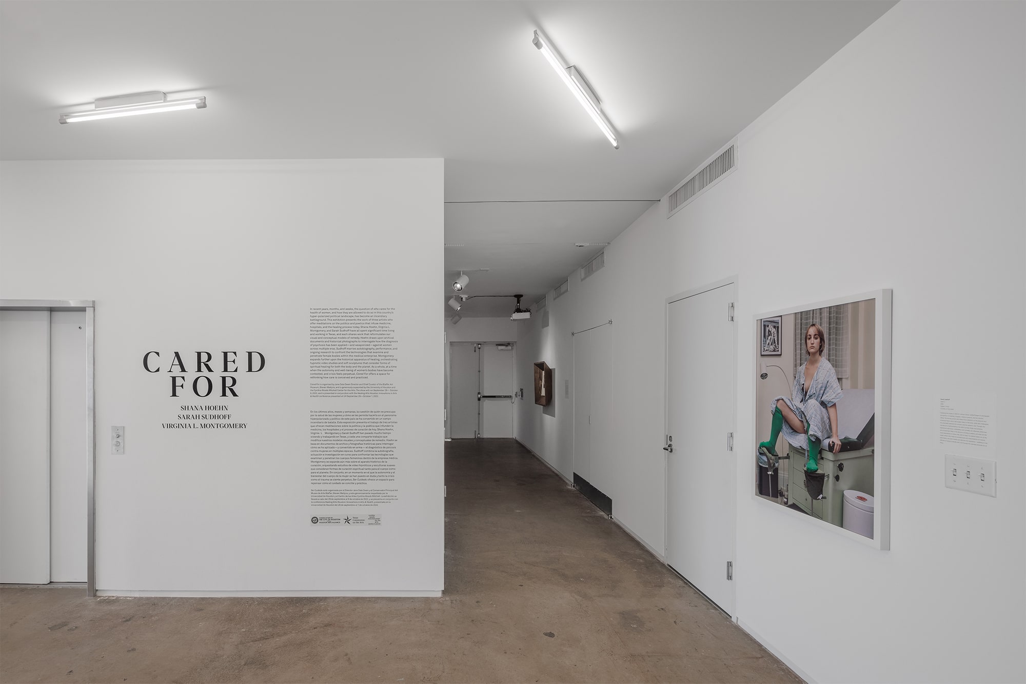 Cared For, an Exhibition by Cared For: Shana Hoehn / VLM (Virginia L. Montgomery) / Sarah Sudhoff, Blaffer Art Museum