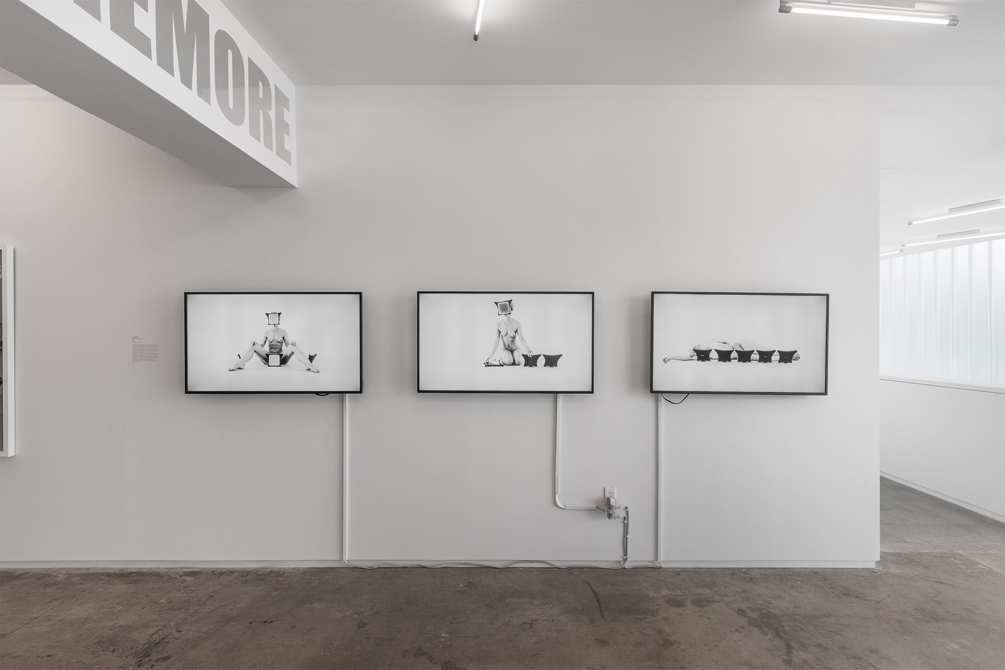 Cared For, an Exhibition by Cared For: Shana Hoehn / VLM (Virginia L. Montgomery) / Sarah Sudhoff, Blaffer Art Museum