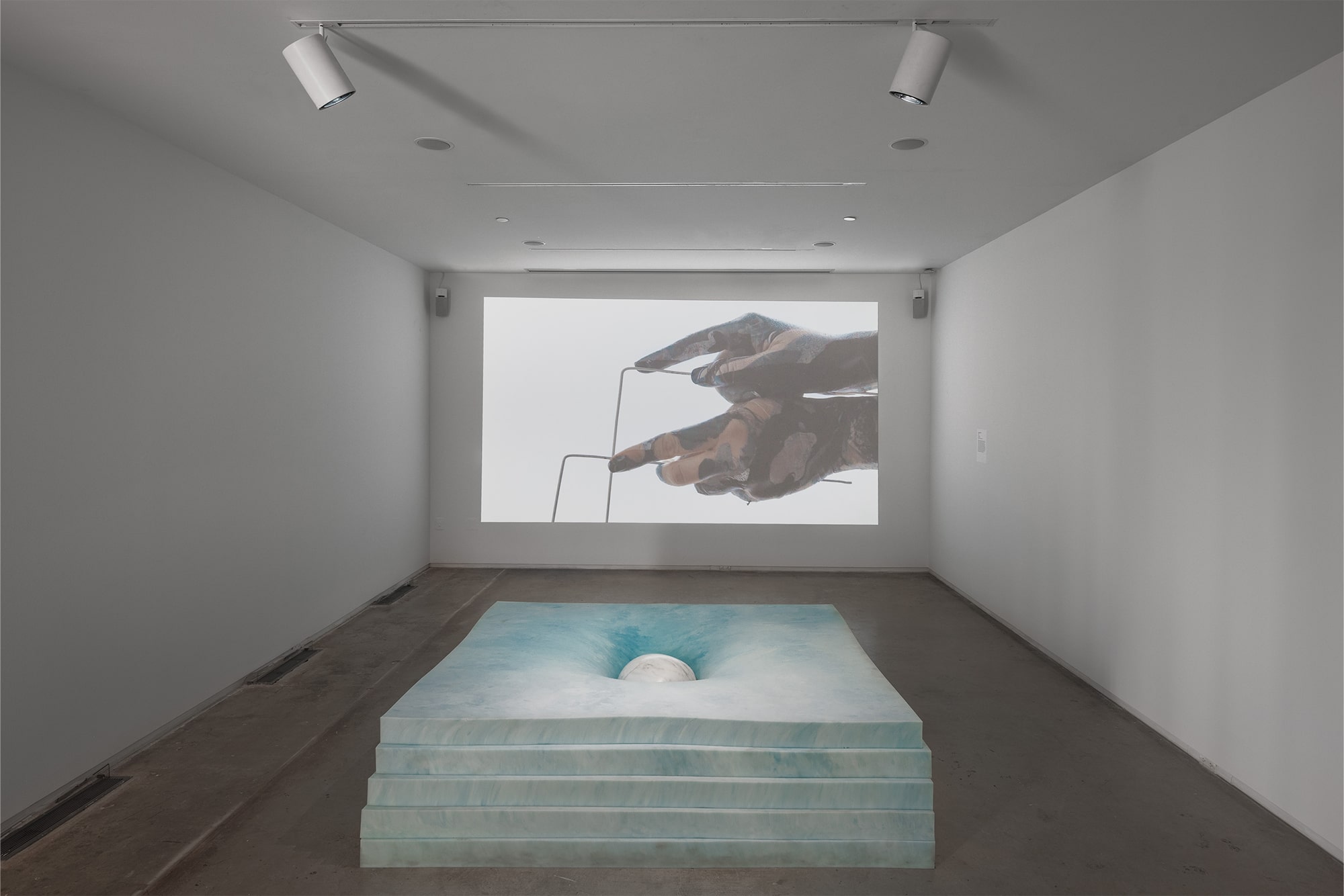 Cared For, an Exhibition by Cared For: Shana Hoehn / VLM (Virginia L. Montgomery) / Sarah Sudhoff, Blaffer Art Museum