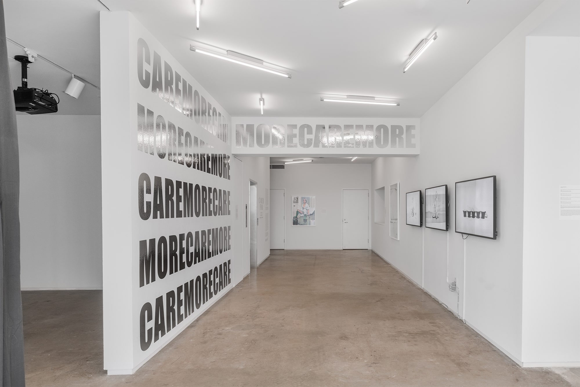 Cared For, an Exhibition by Cared For: Shana Hoehn / VLM (Virginia L. Montgomery) / Sarah Sudhoff, Blaffer Art Museum