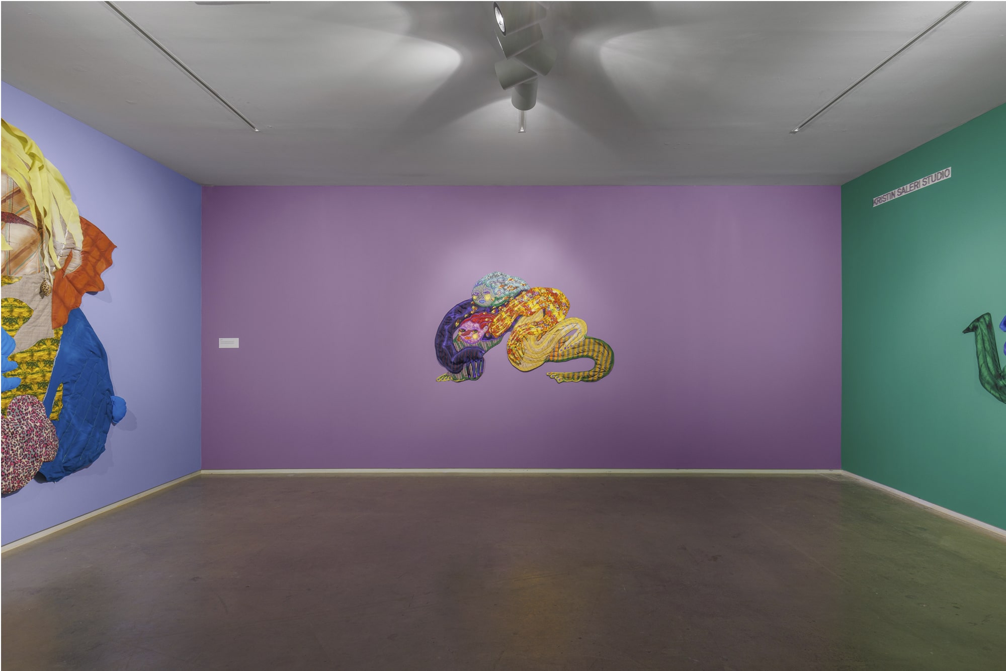 Maria A. Guzmán Capron: Forma Seductora, Blaffer Art Museum