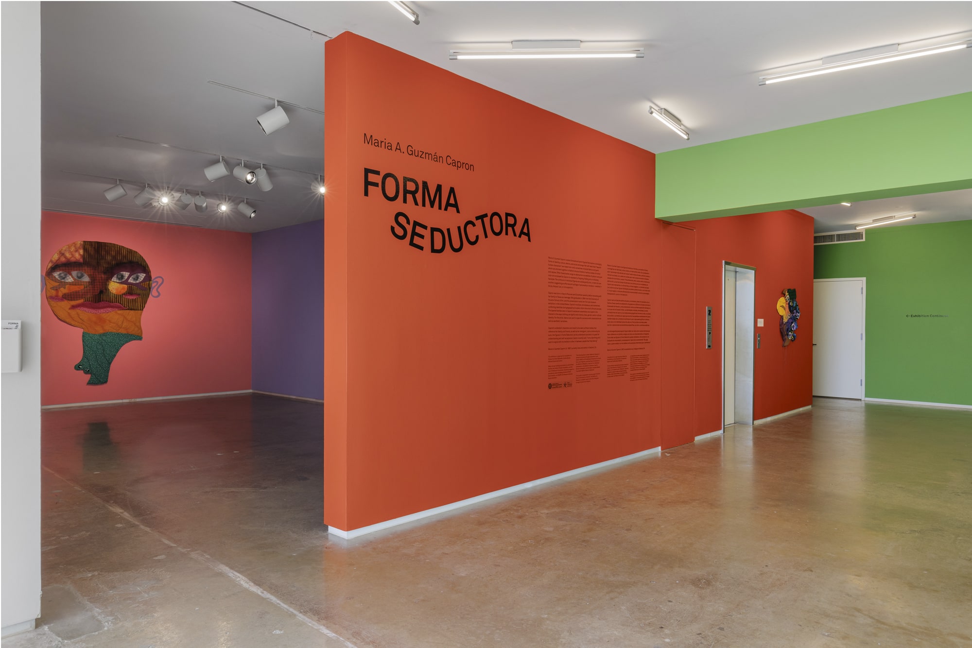 Maria A. Guzmán Capron: Forma Seductora, Blaffer Art Museum
