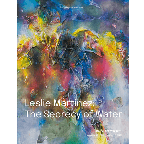Leslie Martinez, The Secrecy of Water, Tyler Blackwell, Blaffer Art Museum