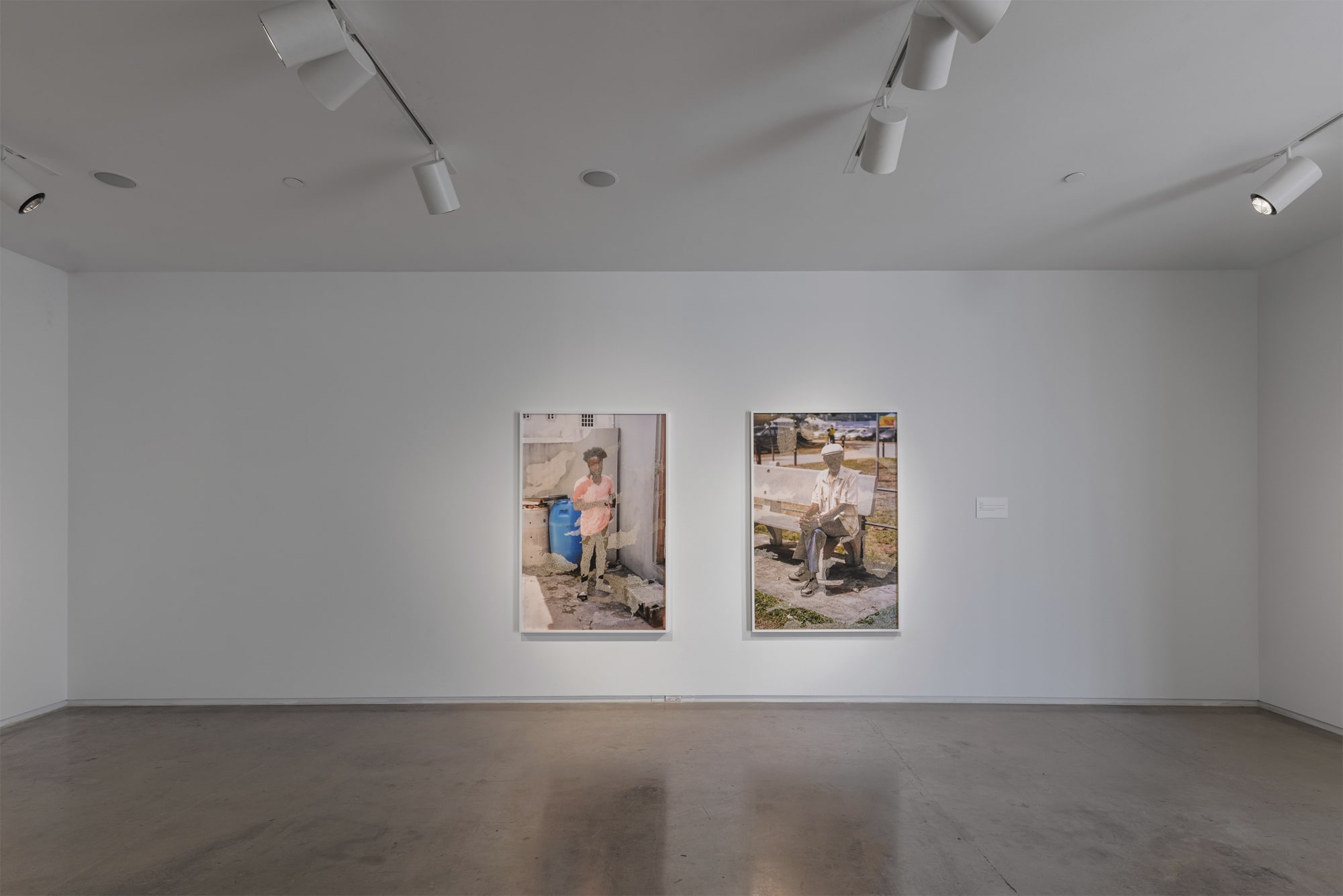 Paul Anthony Smith, Standing In, Blaffer Art Museum, Exhibition Images