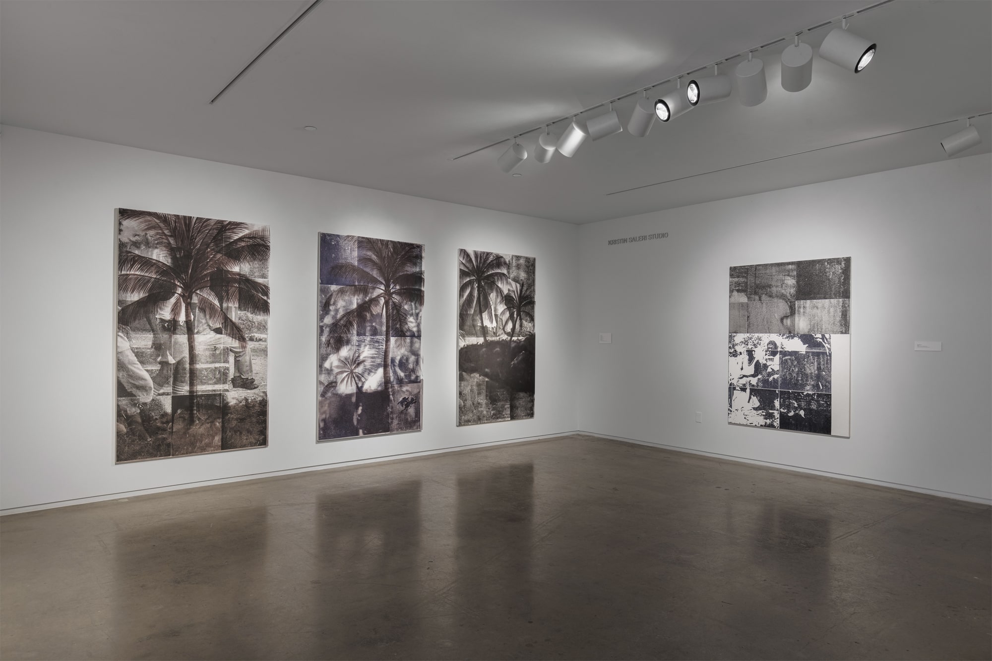 Paul Anthony Smith, Standing In, Blaffer Art Museum, Exhibition Images