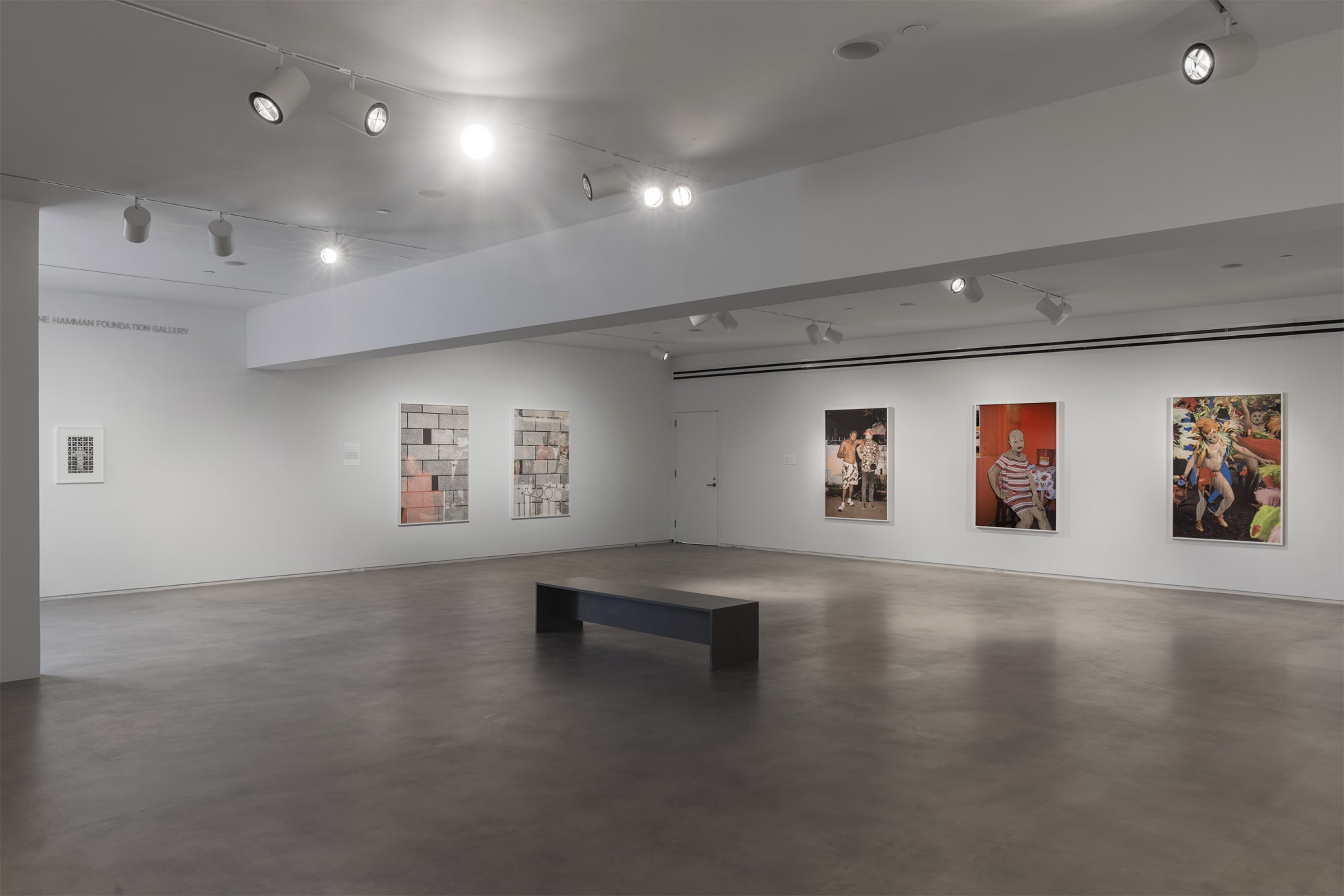 Paul Anthony Smith, Standing In, Blaffer Art Museum, Exhibition Images