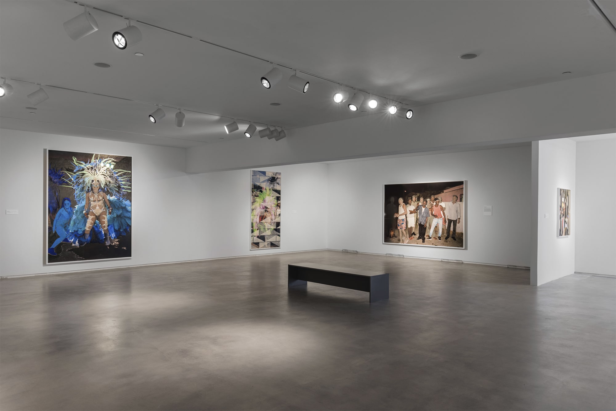 Paul Anthony Smith, Standing In, Blaffer Art Museum, Exhibition Images