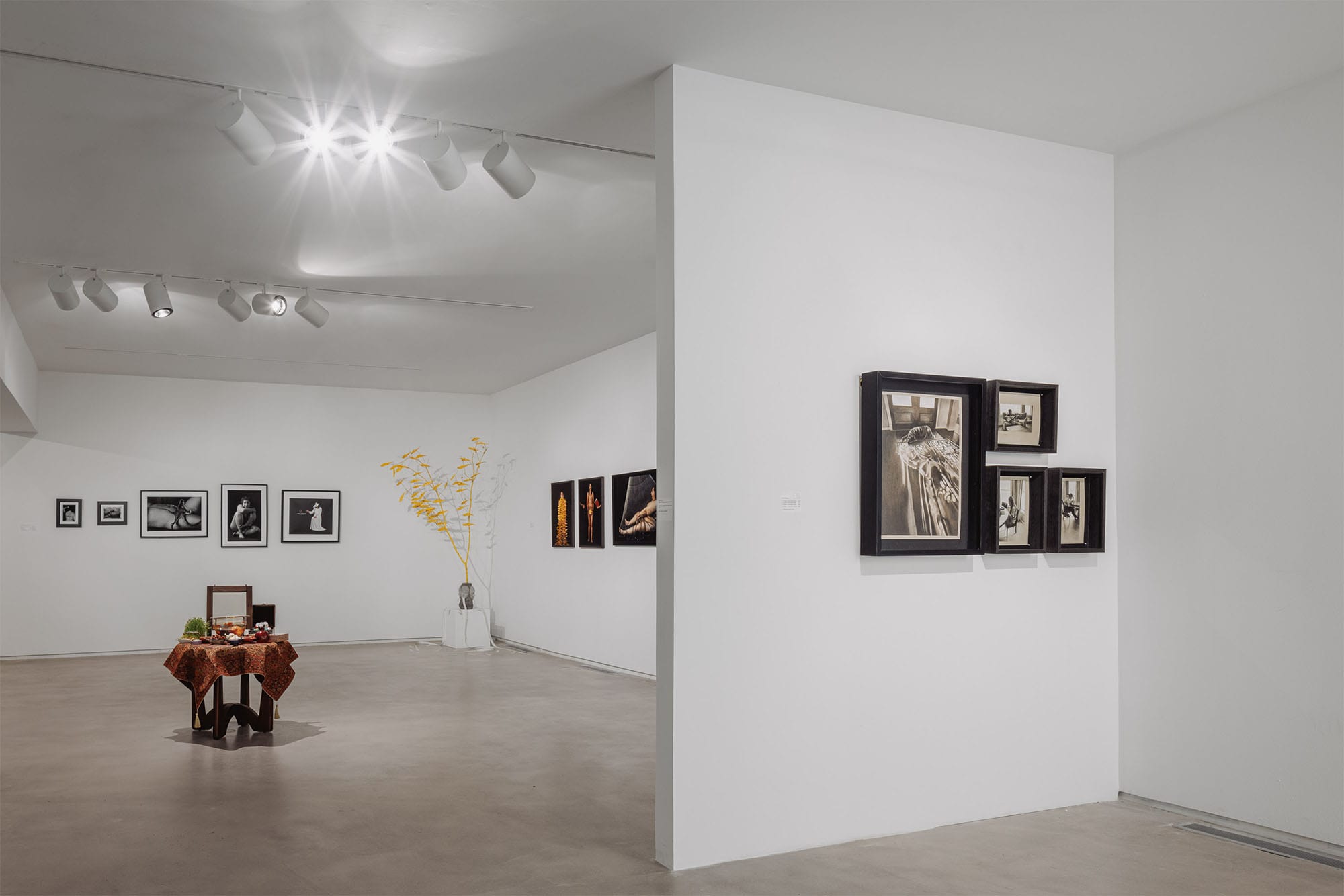 UH School of Art 45th Annual MFA Thesis Exhibition, Blaffer Art Museum Exhibition Archive