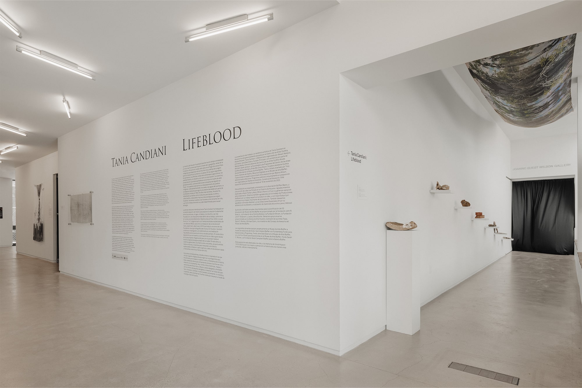 Tania Candiani Lifeblood, Blaffer Art Museum, Exhibitions