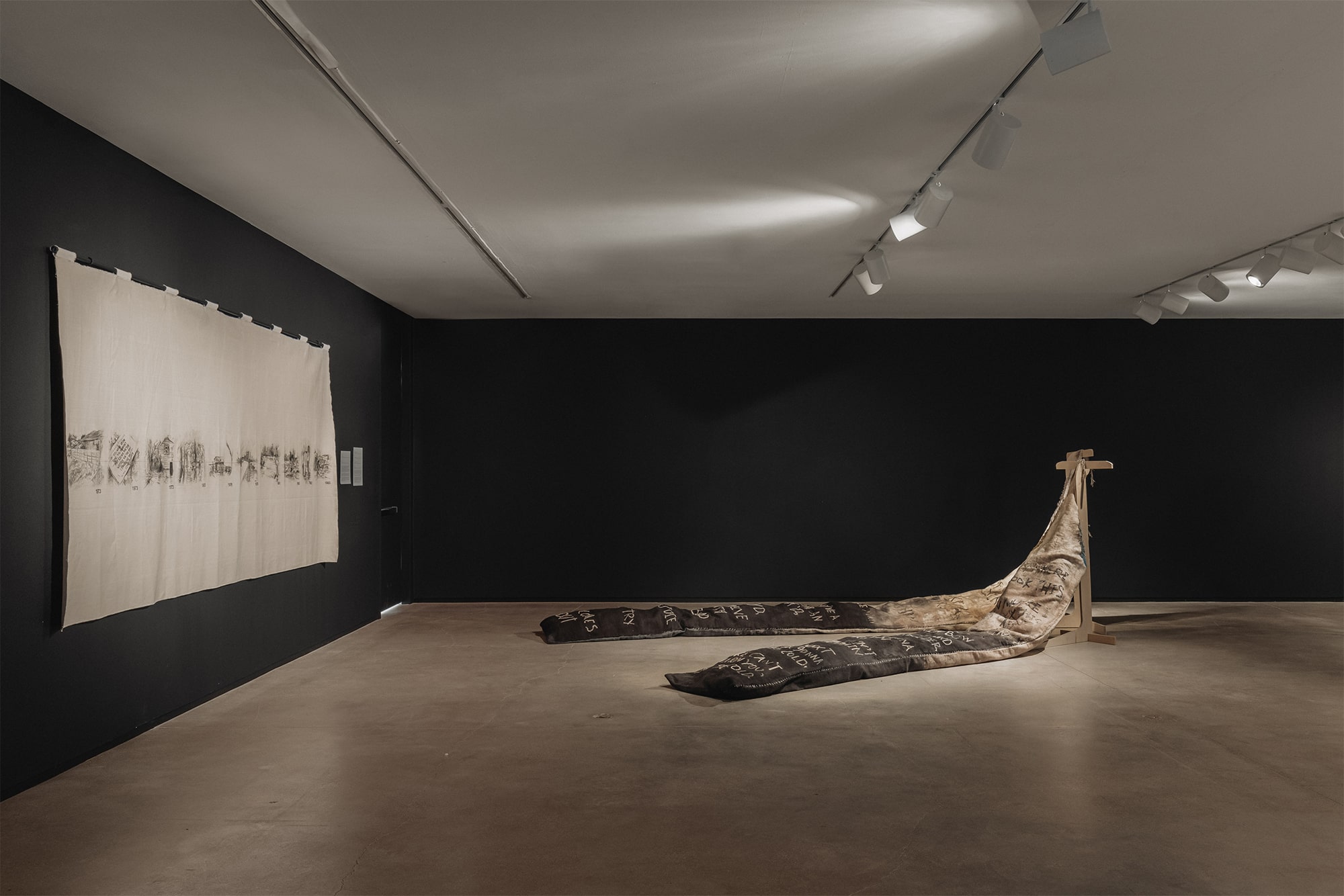 Tania Candiani Lifeblood, Blaffer Art Museum, Exhibitions