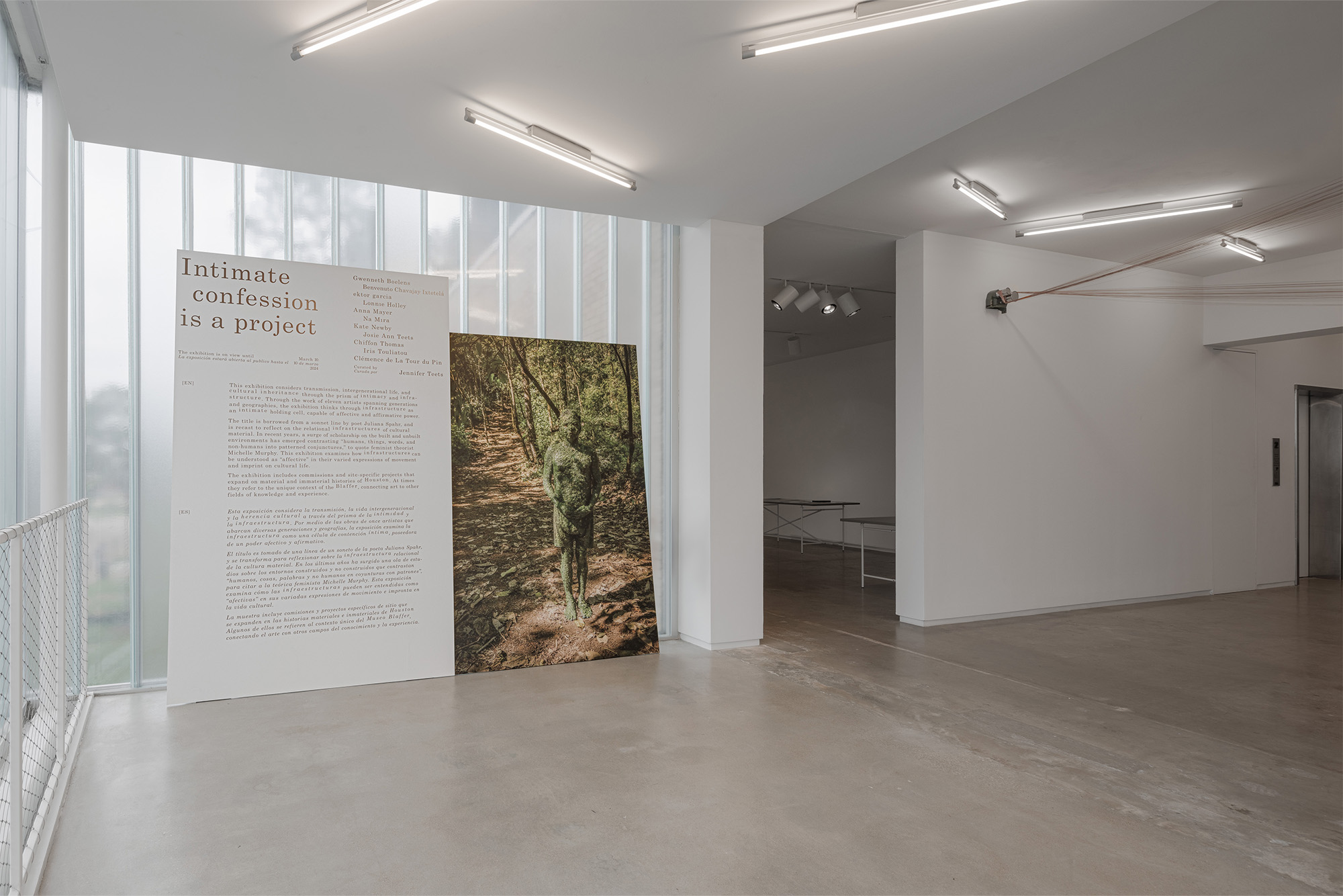 Intimate confessions is a project, Blaffer Art Museum, Jennifer Teets