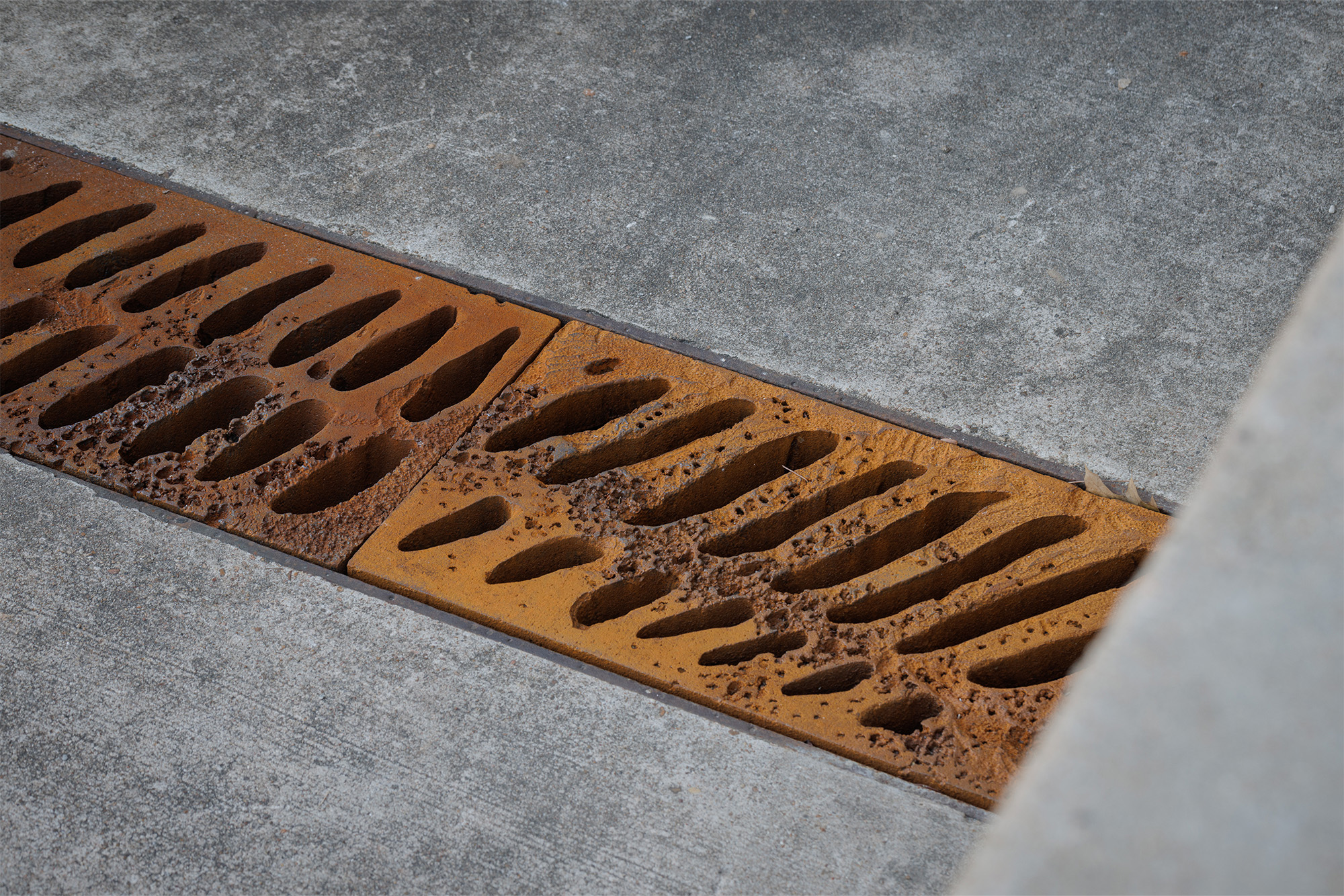 Intimate confessions is a project, Blaffer Art Museum, Jennifer Teets