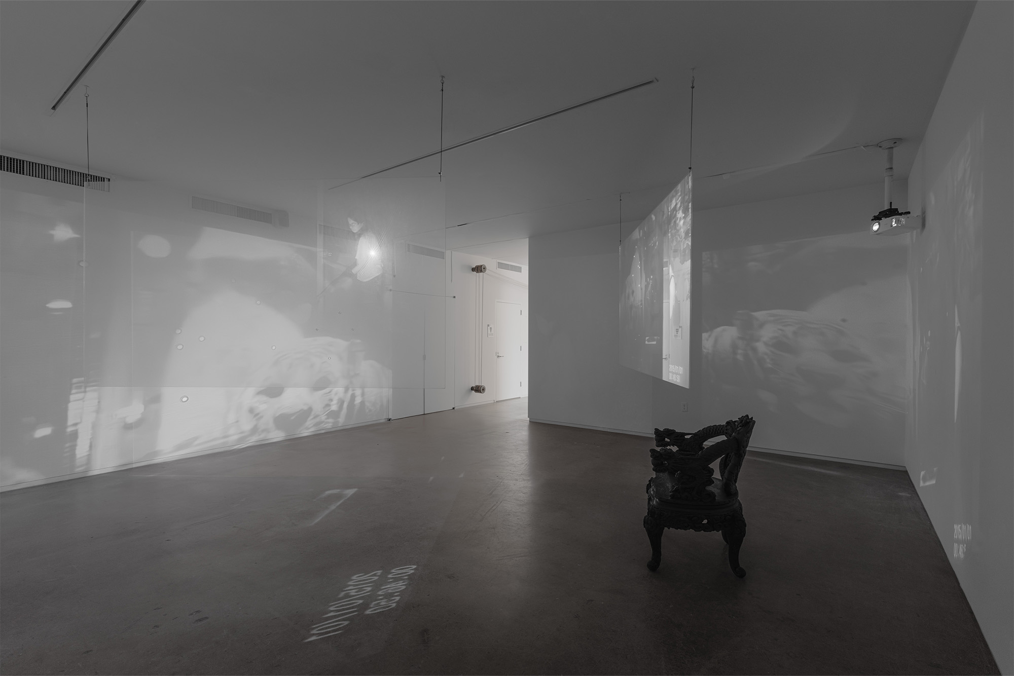 Intimate confessions is a project, Blaffer Art Museum, Jennifer Teets