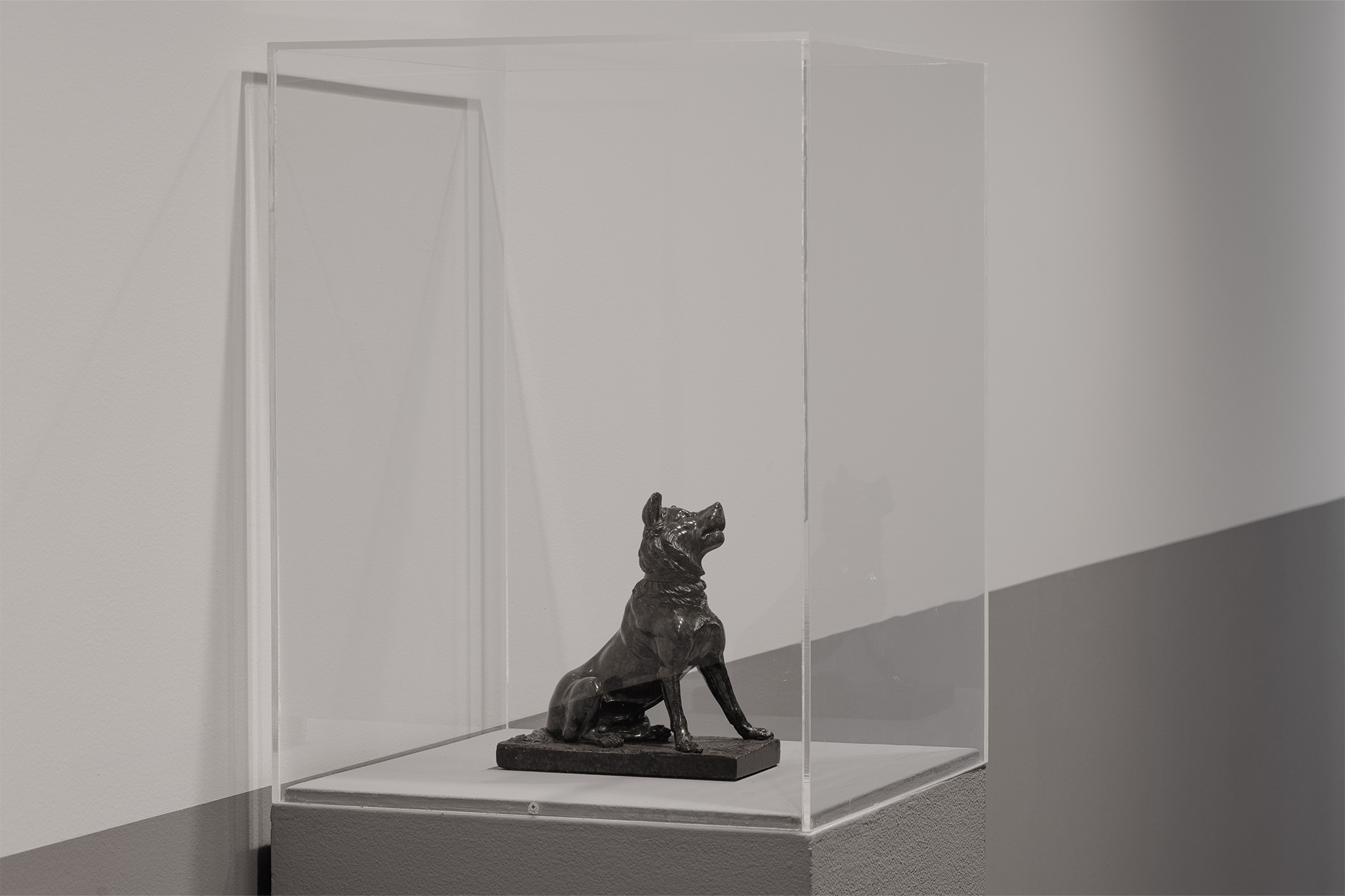 Intimate confessions is a project, Blaffer Art Museum, Jennifer Teets