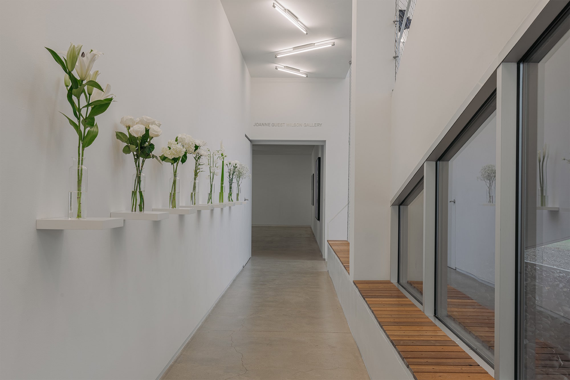 Reynier Leyva Novo: Former Present Today, Blaffer Art Museum