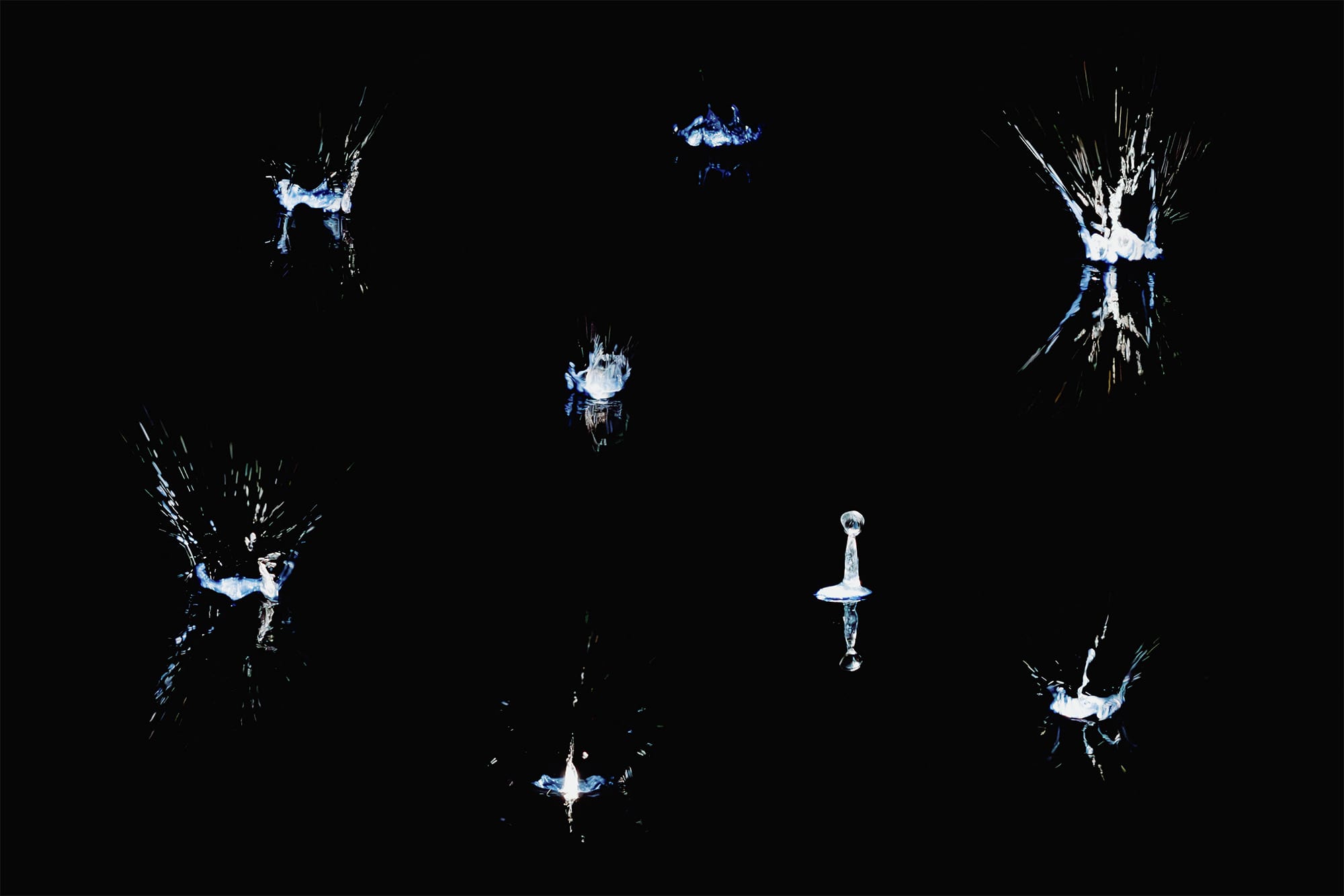 Gabriel Lester, Odeon, Blaffer Art Museum