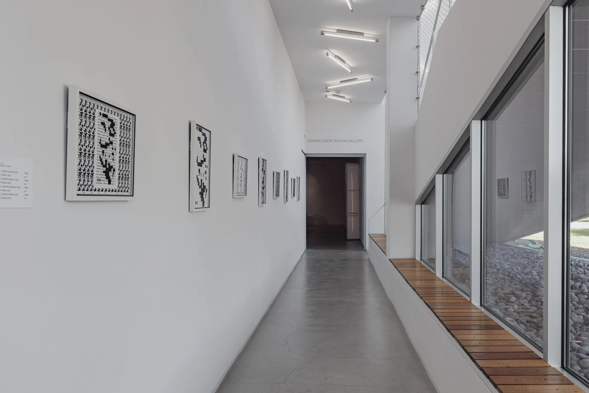 47th Master of Fine Arts Thesis Exhibition, Blaffer Art Museum