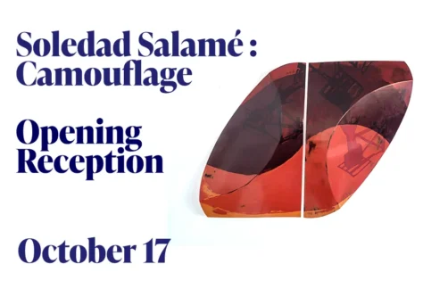 Opening Reception for Soledad Salamé