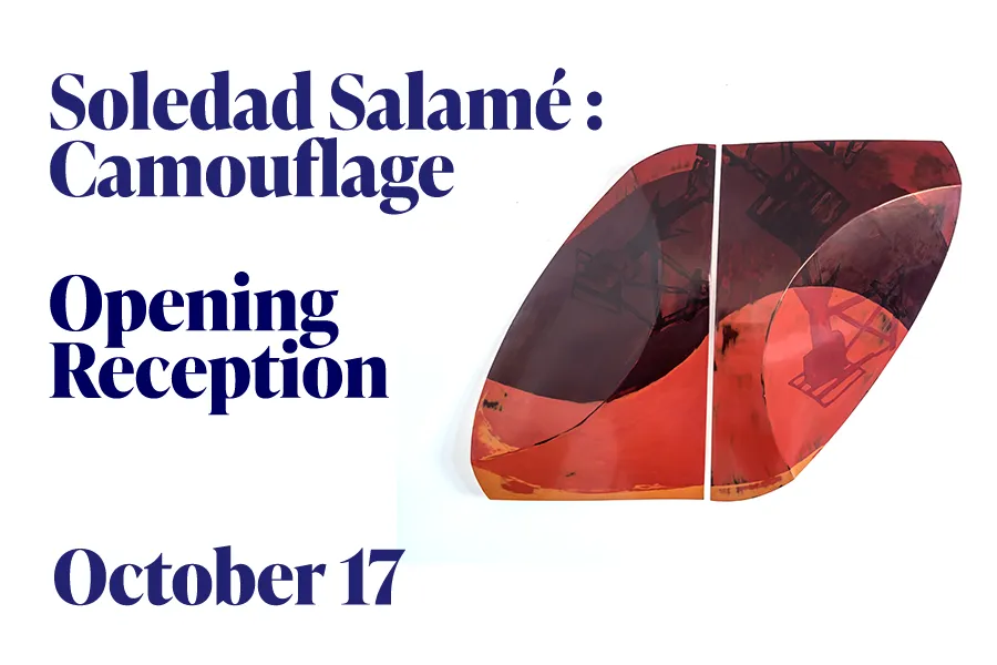 Opening Reception for Soledad Salamé