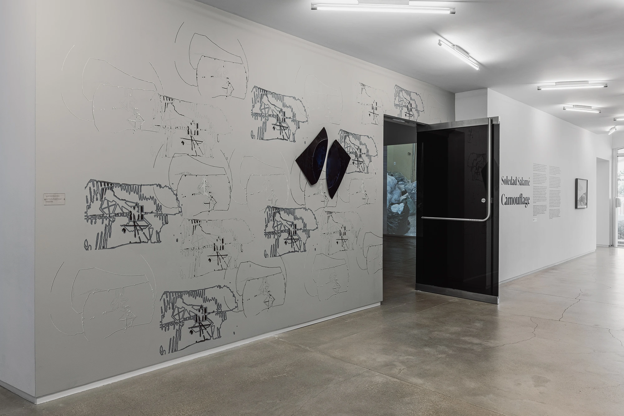 Soledad Salame, Camouflage, Blaffer Art Museum, photo by Franciso Ramos