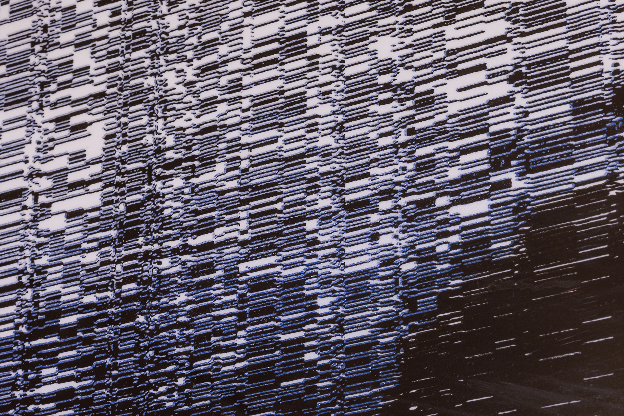 Soledad Salame, Camouflage, Blaffer Art Museum, photo by Franciso Ramos