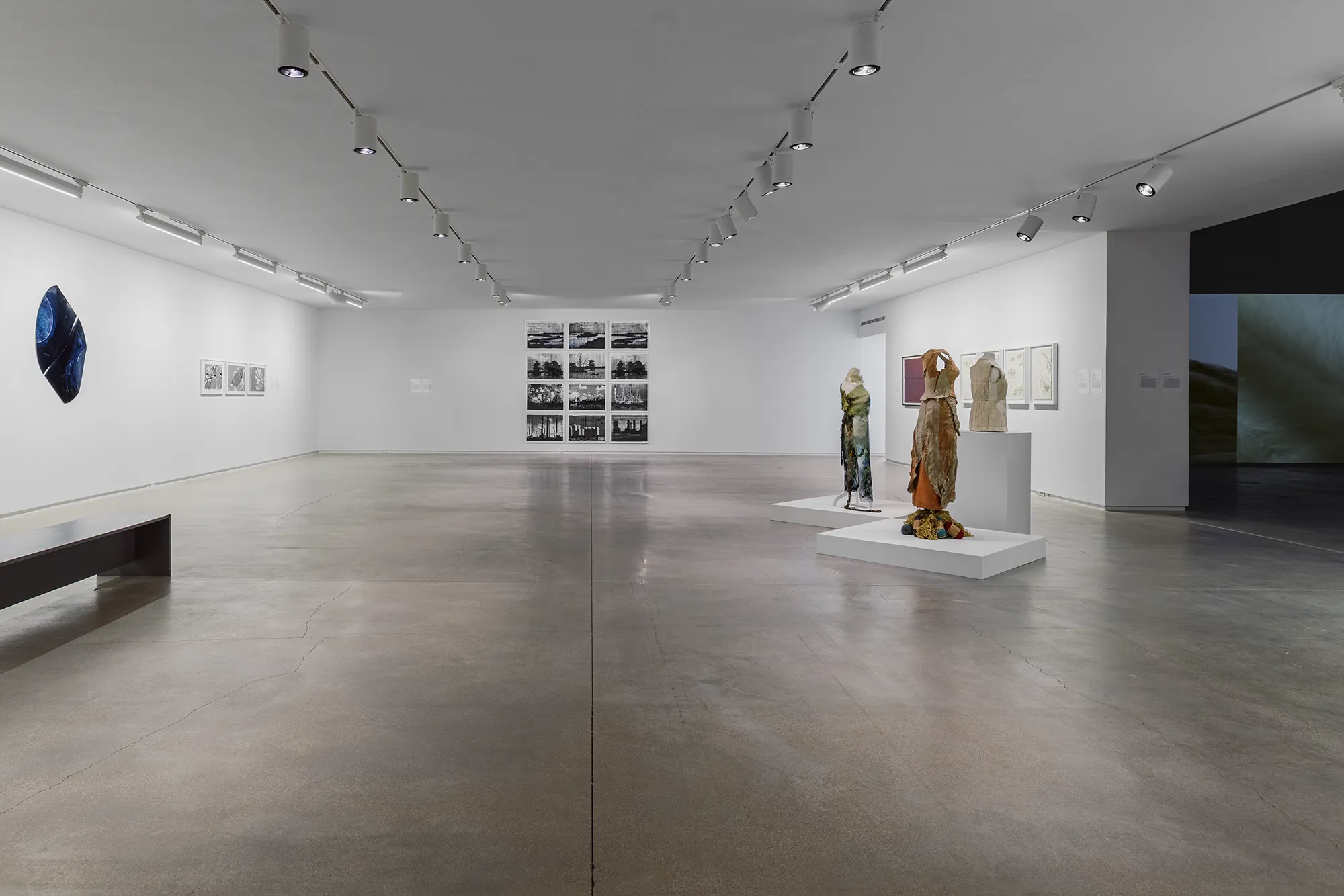 Soledad Salame, Camouflage, Blaffer Art Museum, photo by Franciso Ramos