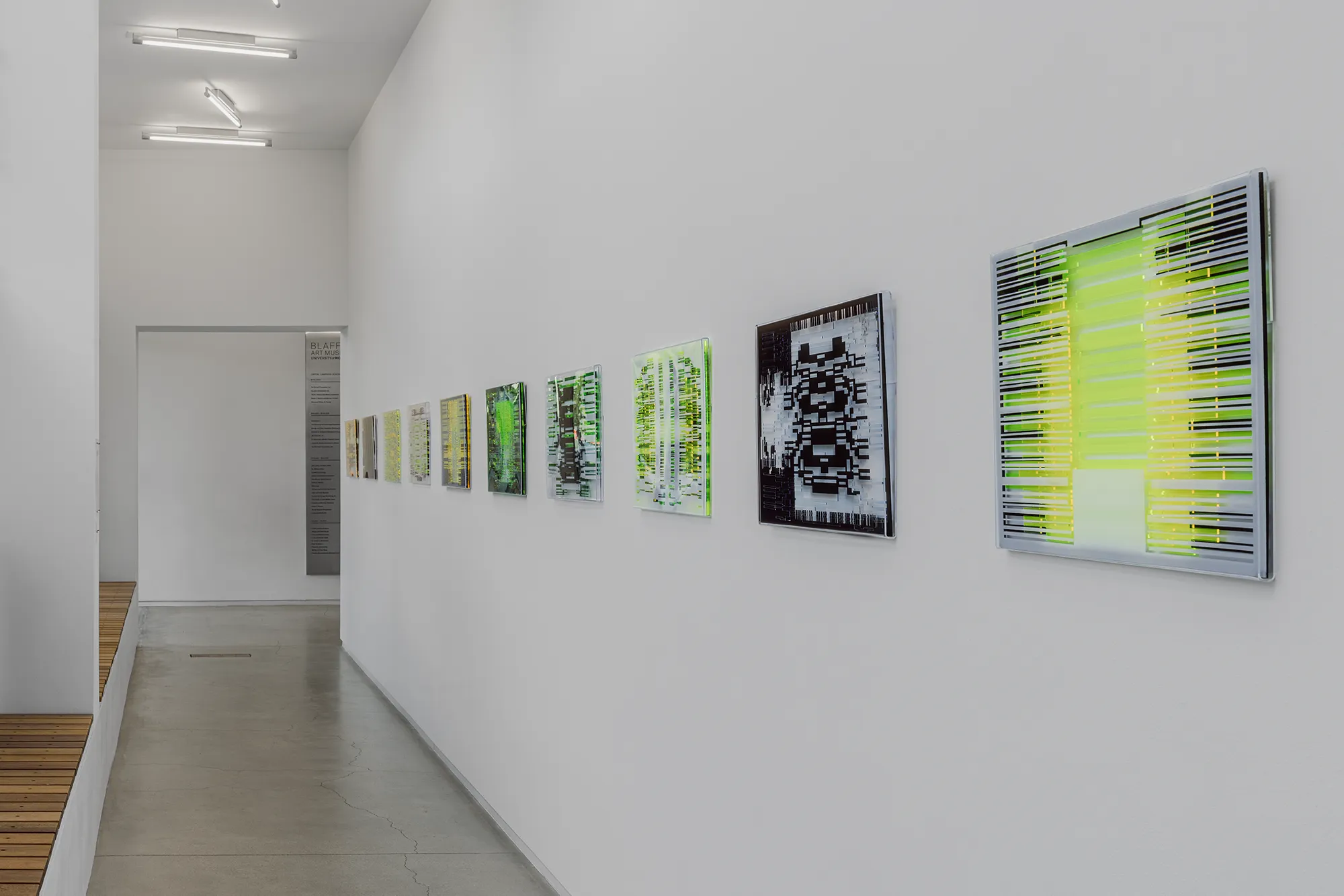 Soledad Salame, Camouflage, Blaffer Art Museum, photo by Franciso Ramos