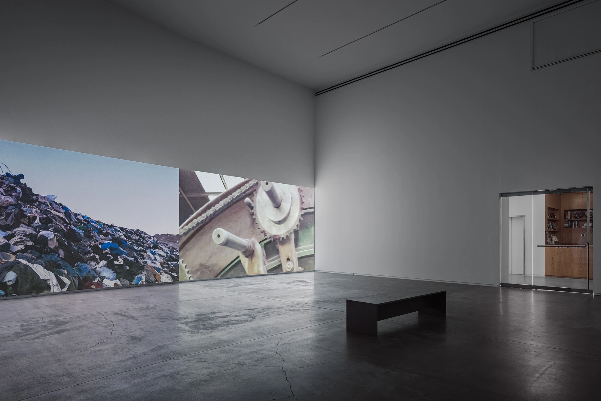 Soledad Salame, Camouflage, Blaffer Art Museum, photo by Franciso Ramos