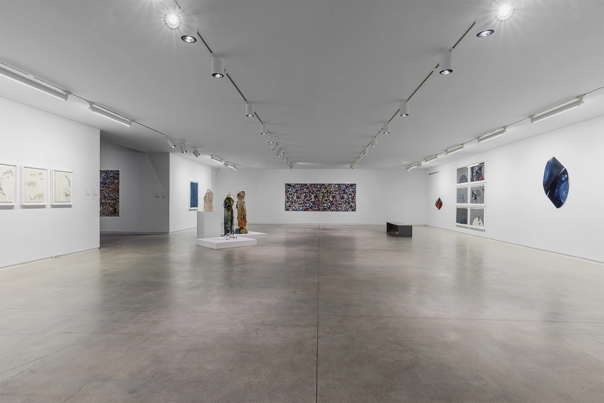 Soledad Salame, Camouflage, Blaffer Art Museum, photo by Franciso Ramos