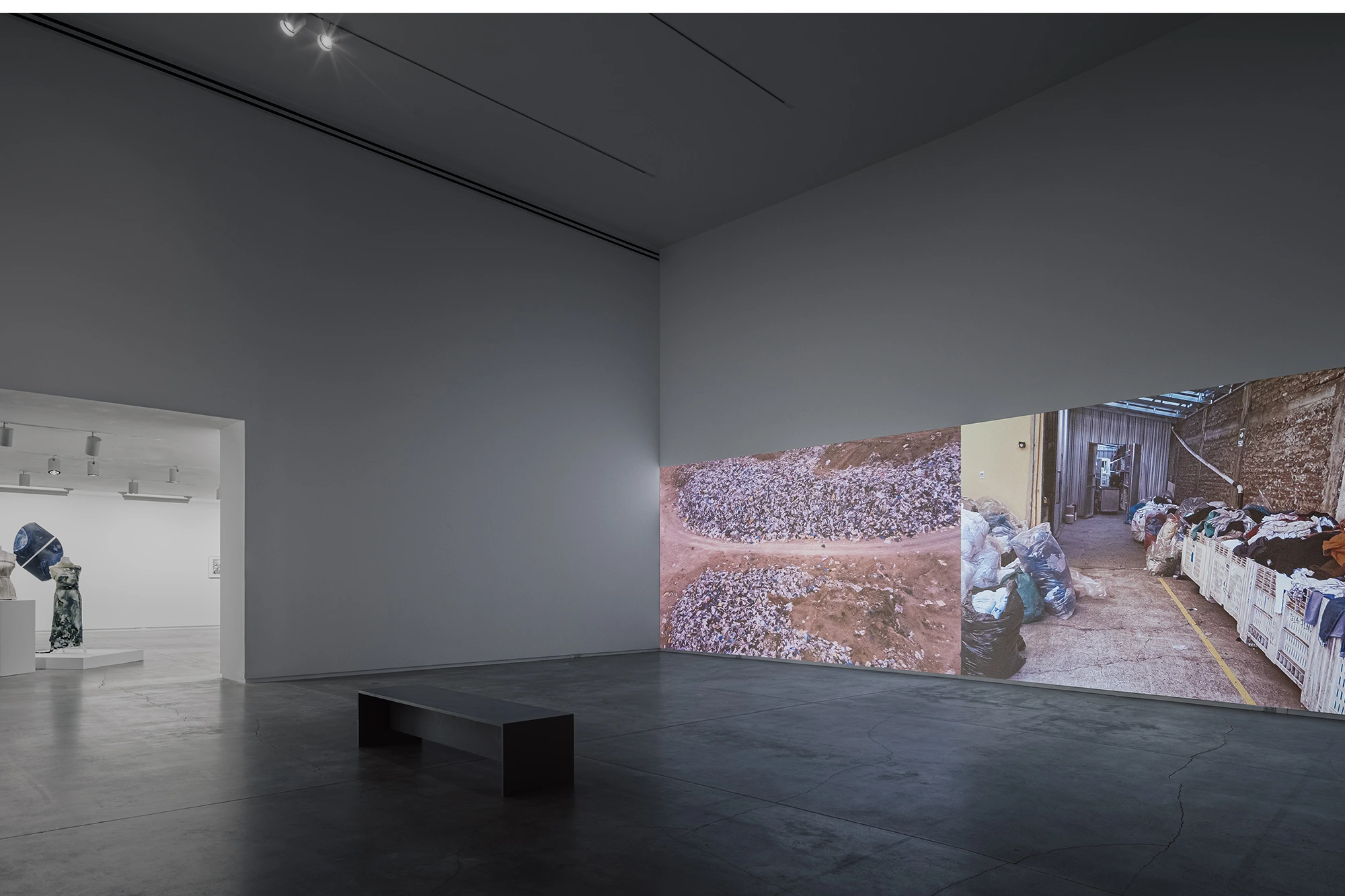 Soledad Salame, Camouflage, Blaffer Art Museum, photo by Franciso Ramos