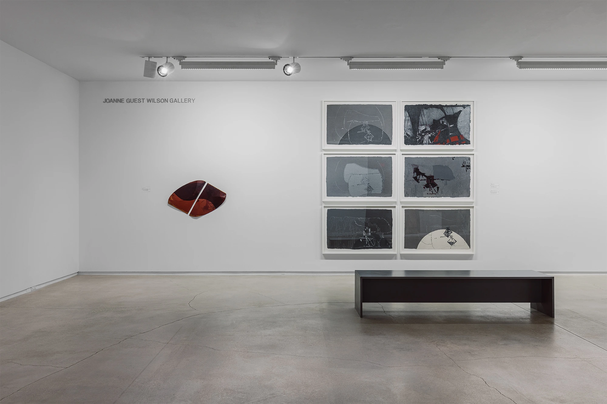 Soledad Salame, Camouflage, Blaffer Art Museum, photo by Franciso Ramos