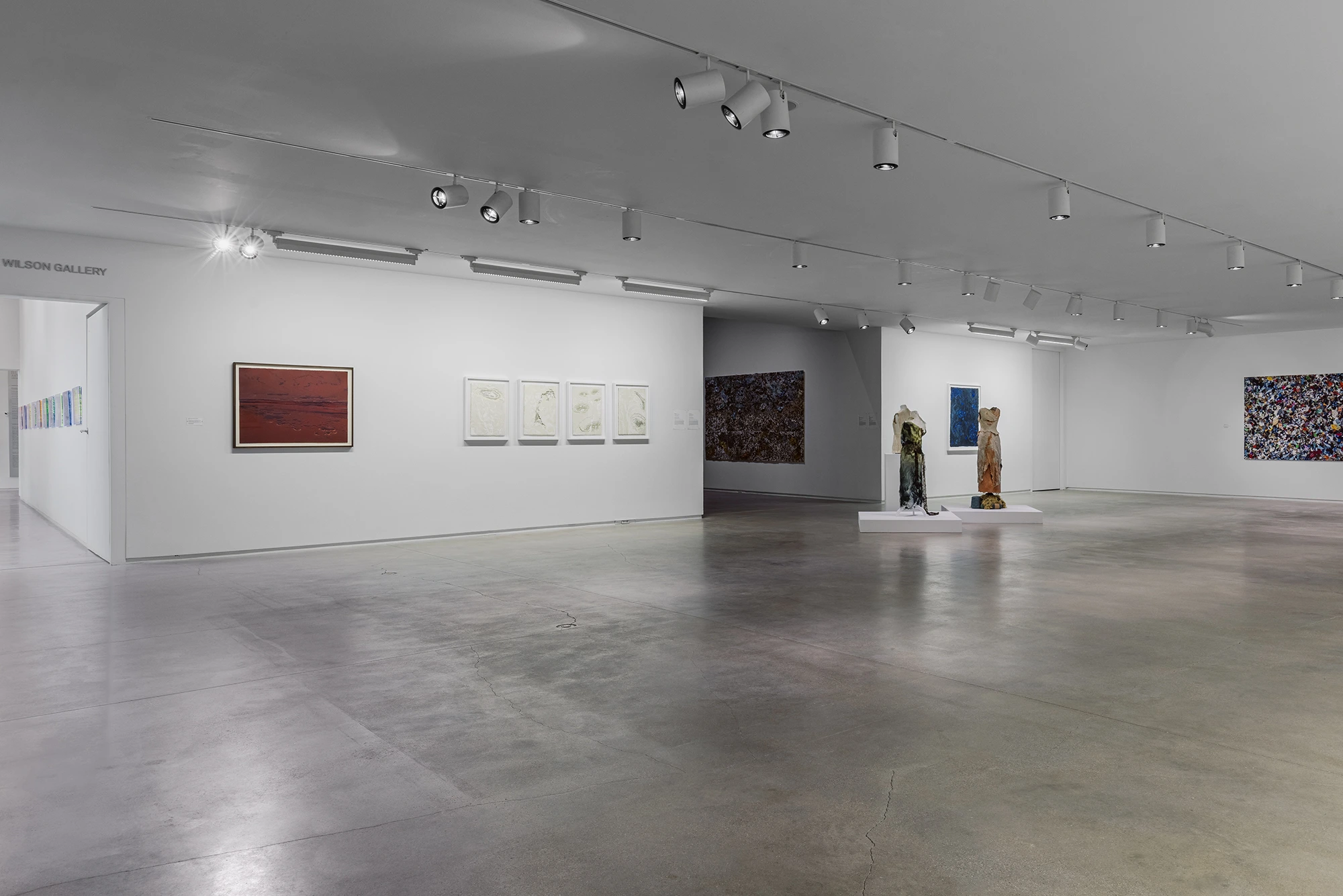 Soledad Salame, Camouflage, Blaffer Art Museum, photo by Franciso Ramos