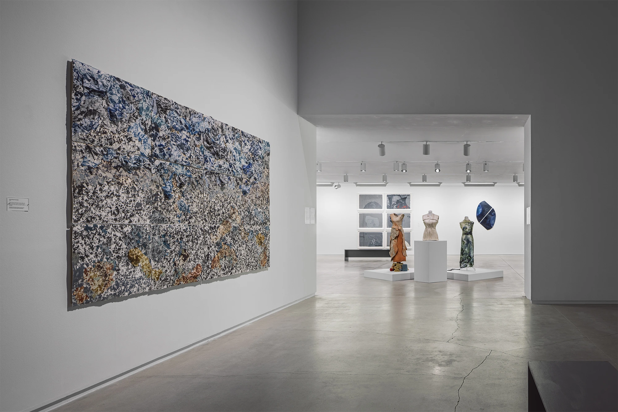 Soledad Salame, Camouflage, Blaffer Art Museum, photo by Franciso Ramos