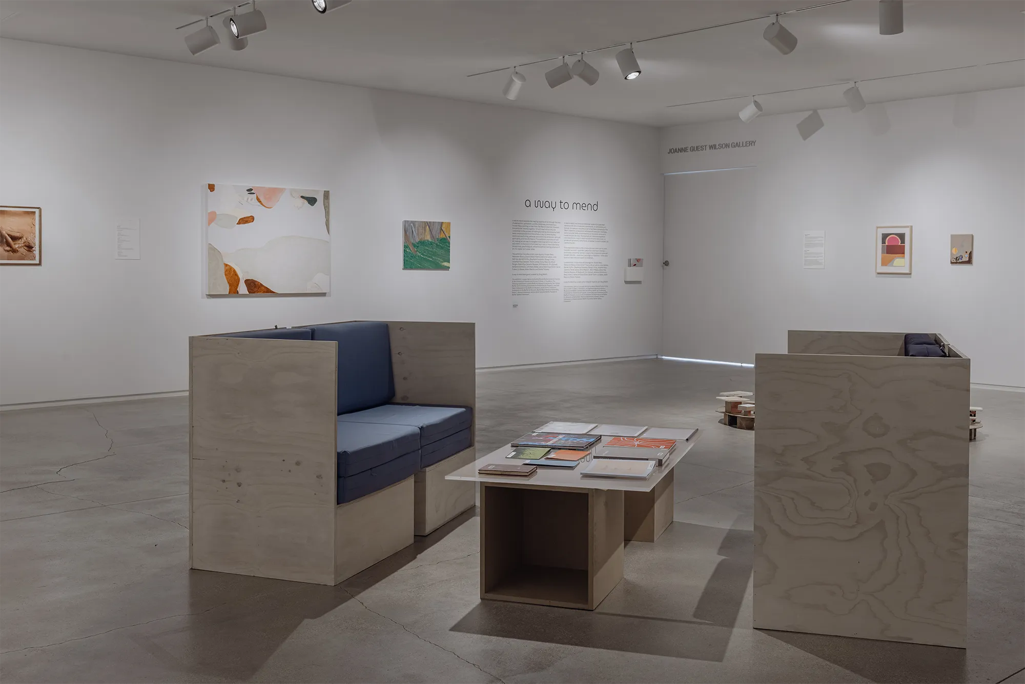 a way to mend, curated by Doug Welsh, Blaffer Art Museum