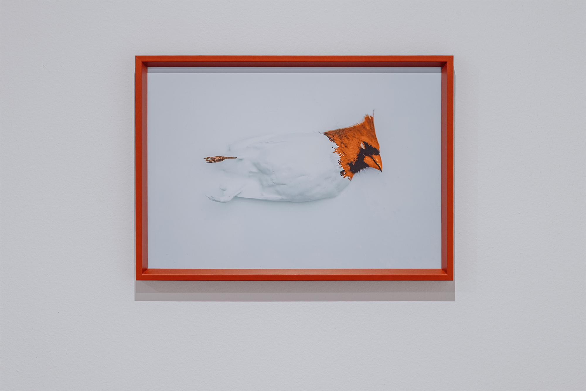 a way to mend, curated by Doug Welsh, Blaffer Art Museum