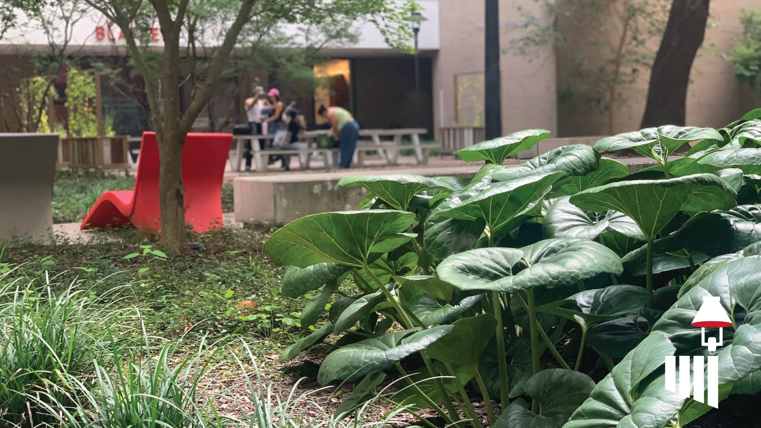 The Blaffer Courtyard