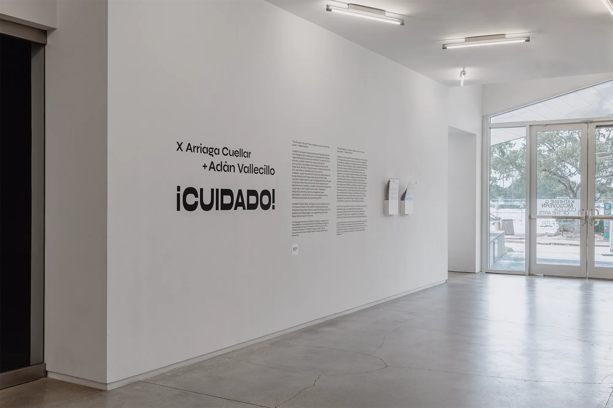 Cuidado, Adan Vallecillo, x Arriage Cuellar, Blaffer Art Museum